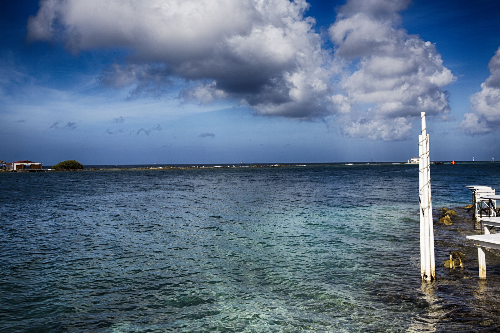 Canon EF 24-70mm F2.8L USM sample photo. Coral, reef photography