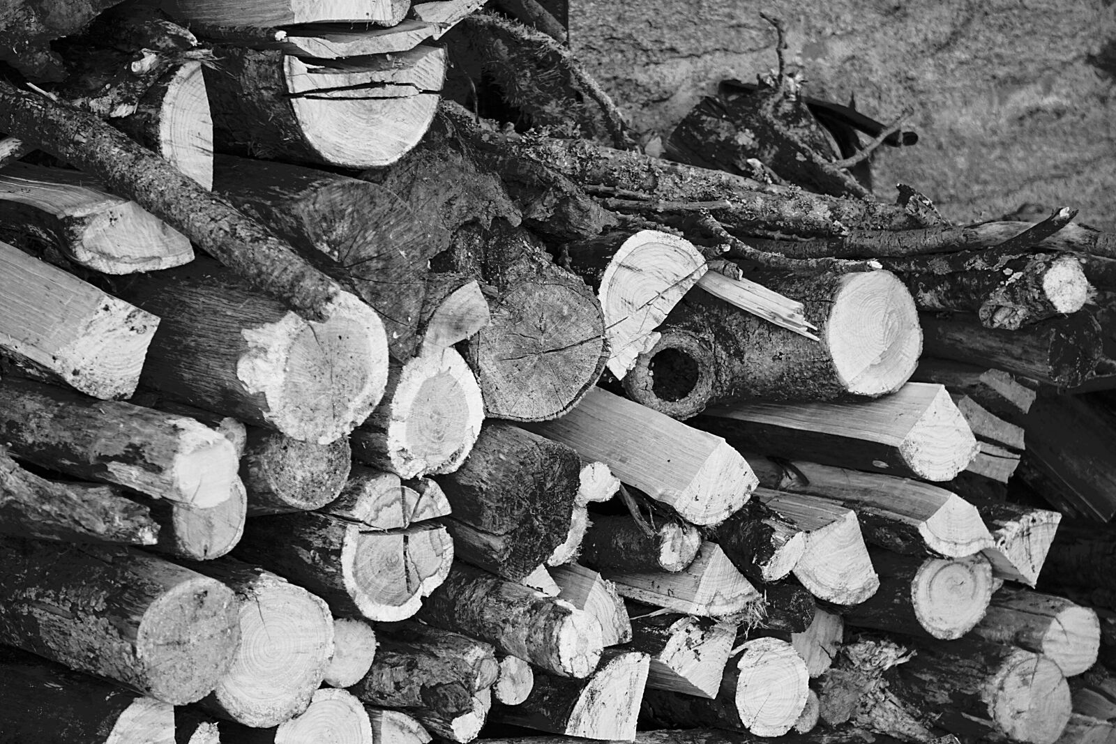 Sony a6000 sample photo. Logs, wood, stere photography