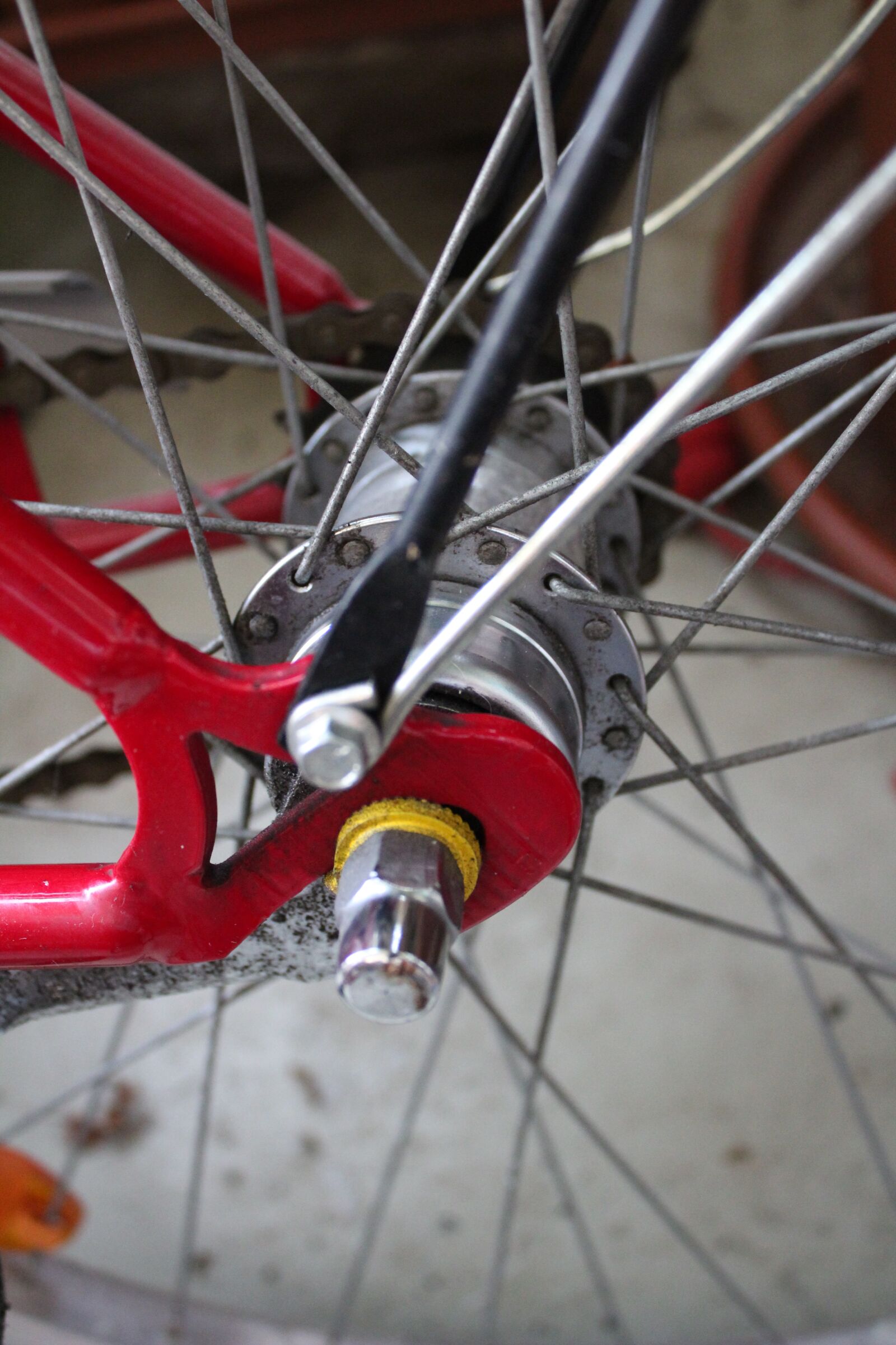 Canon EOS 1300D (EOS Rebel T6 / EOS Kiss X80) sample photo. Bike, rear axle, wheel photography
