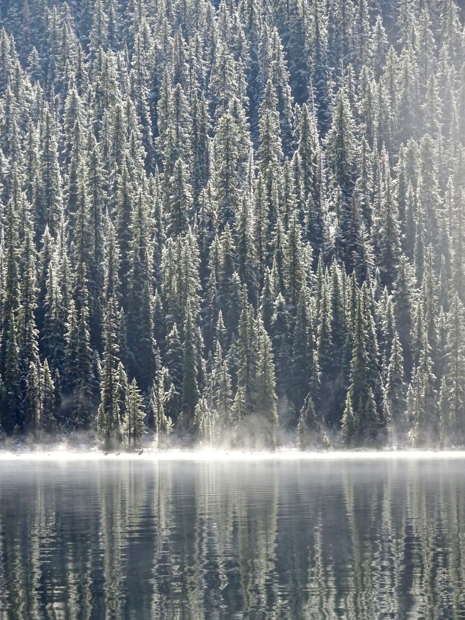 Sony Cyber-shot DSC-HX90V sample photo. Mist, morning, lake photography