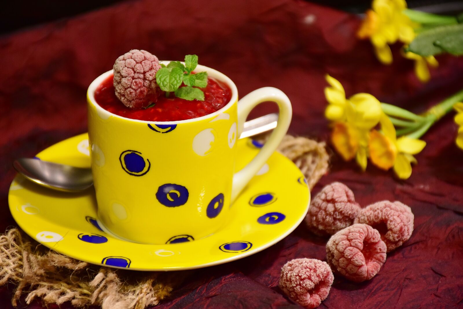 Nikon D7200 sample photo. Raspberries, sorbet, raspberry sorbet photography