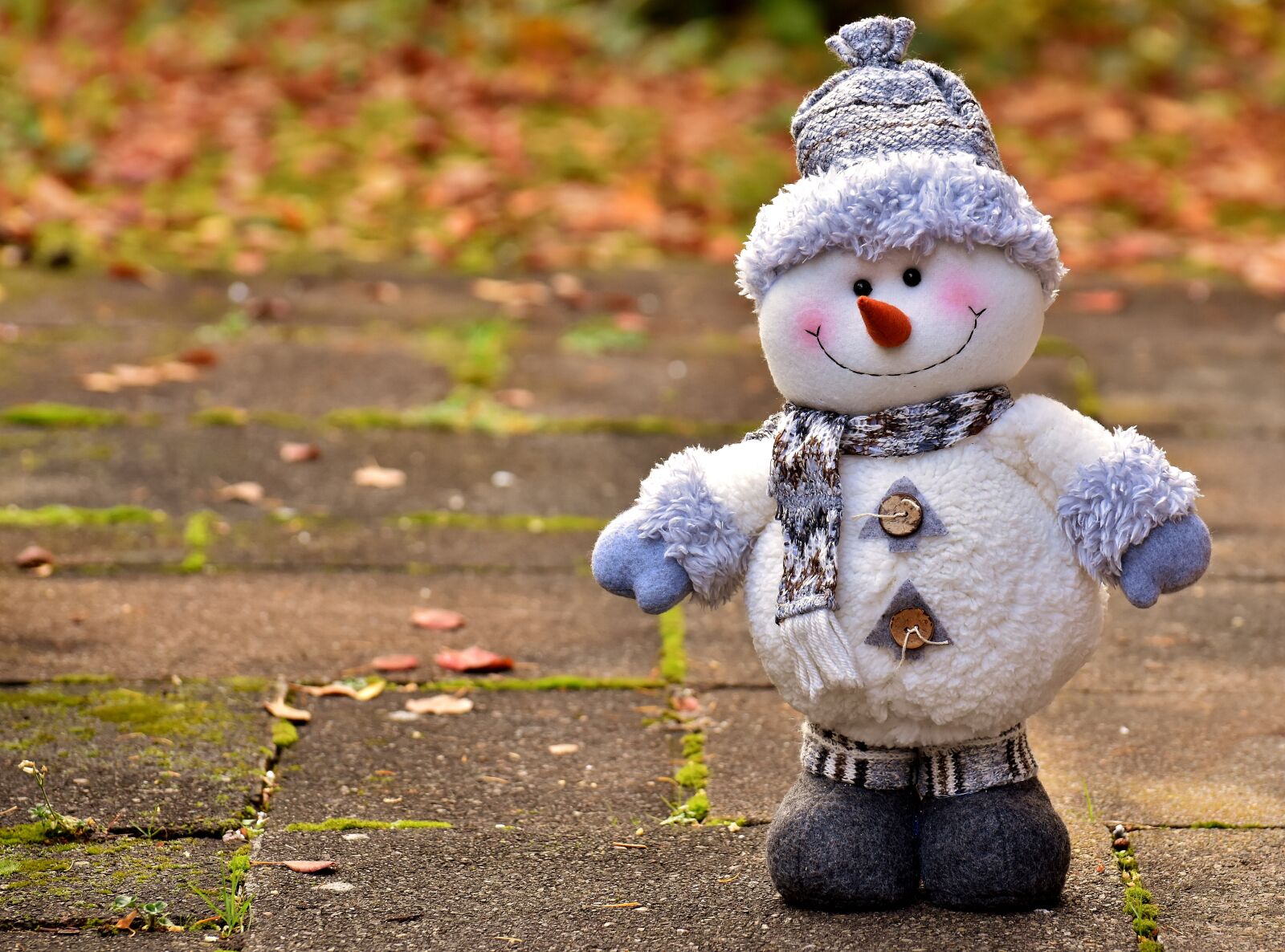 Nikon D7200 sample photo. Snowman, figure, christmas photography
