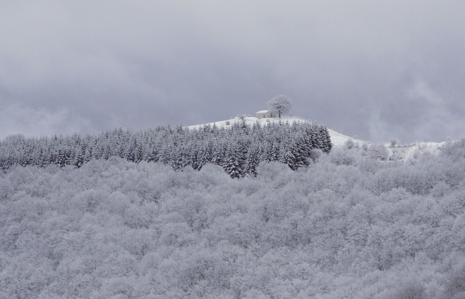 Nikon D5300 sample photo. Snow, winter, trees photography