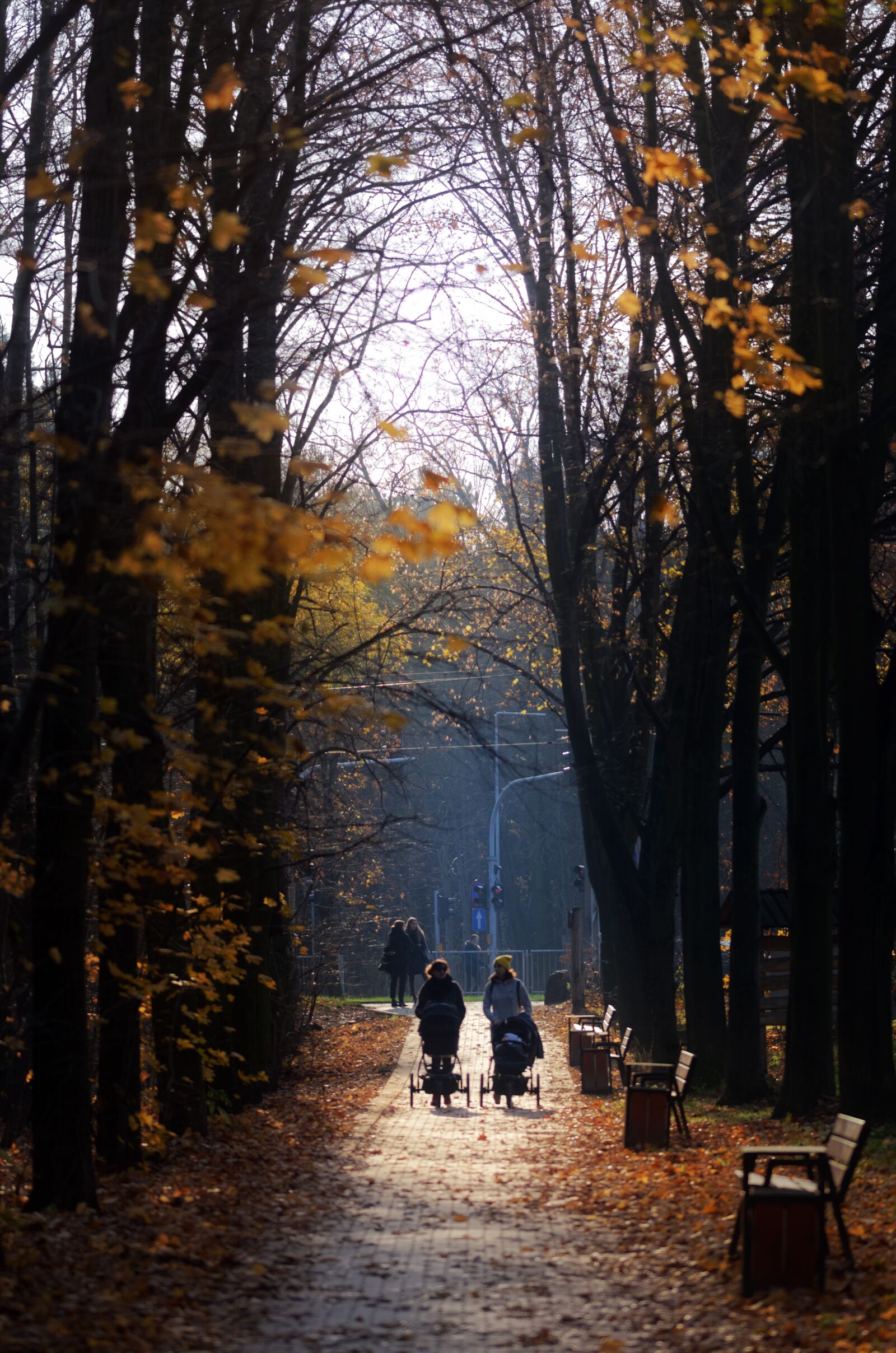 Nikon D5100 sample photo. People, women, mothers photography