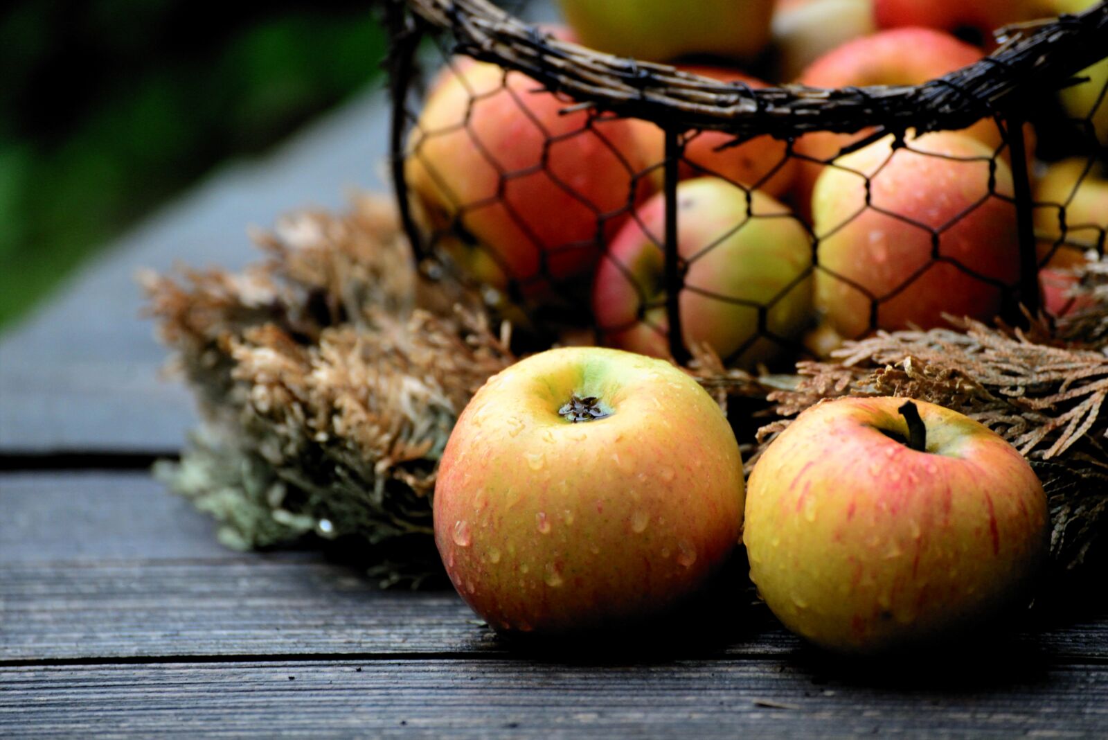 Nikon D610 sample photo. Apples, fruit, food photography