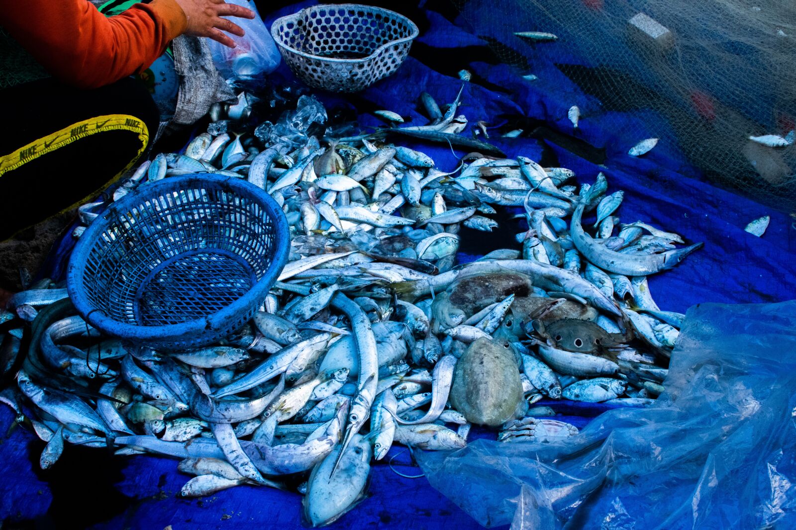 Nikon D3400 sample photo. Sea, sunset, vietnam photography