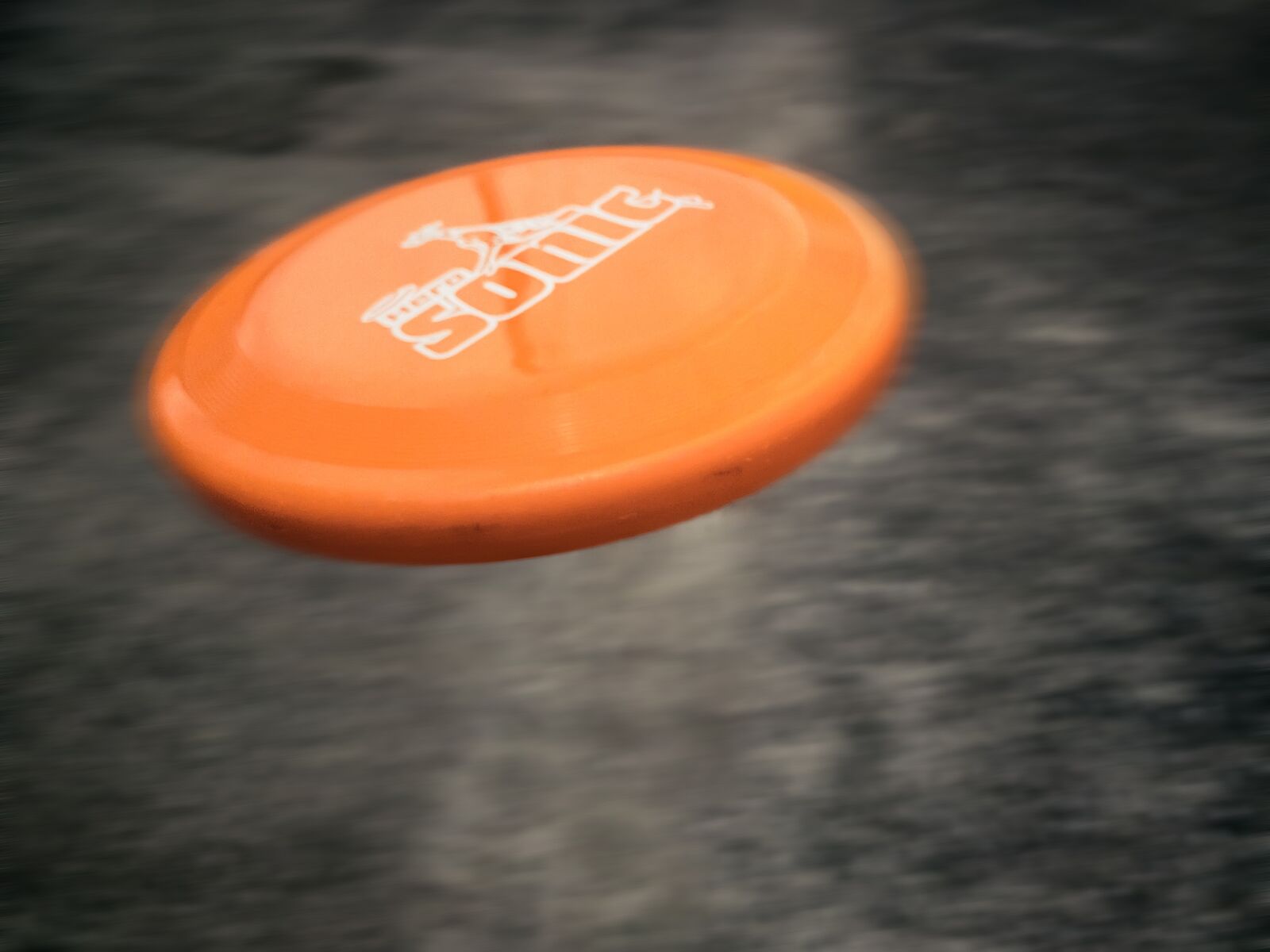 Apple iPhone XR sample photo. Frisbee, motion blur, leisure photography