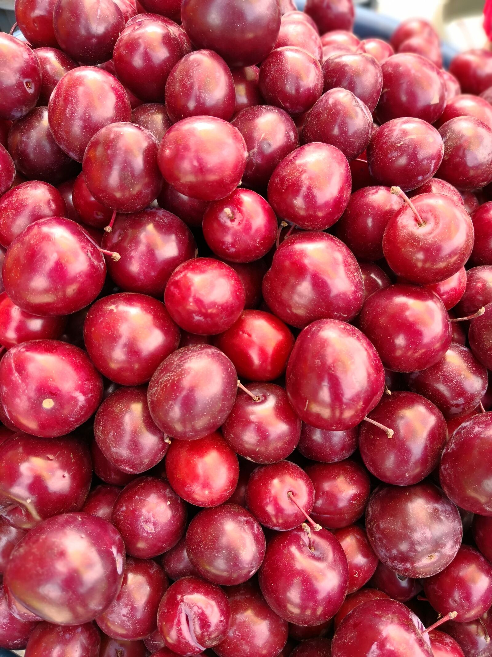 HUAWEI Mate 10 Pro sample photo. Plums, fruit, agriculture photography