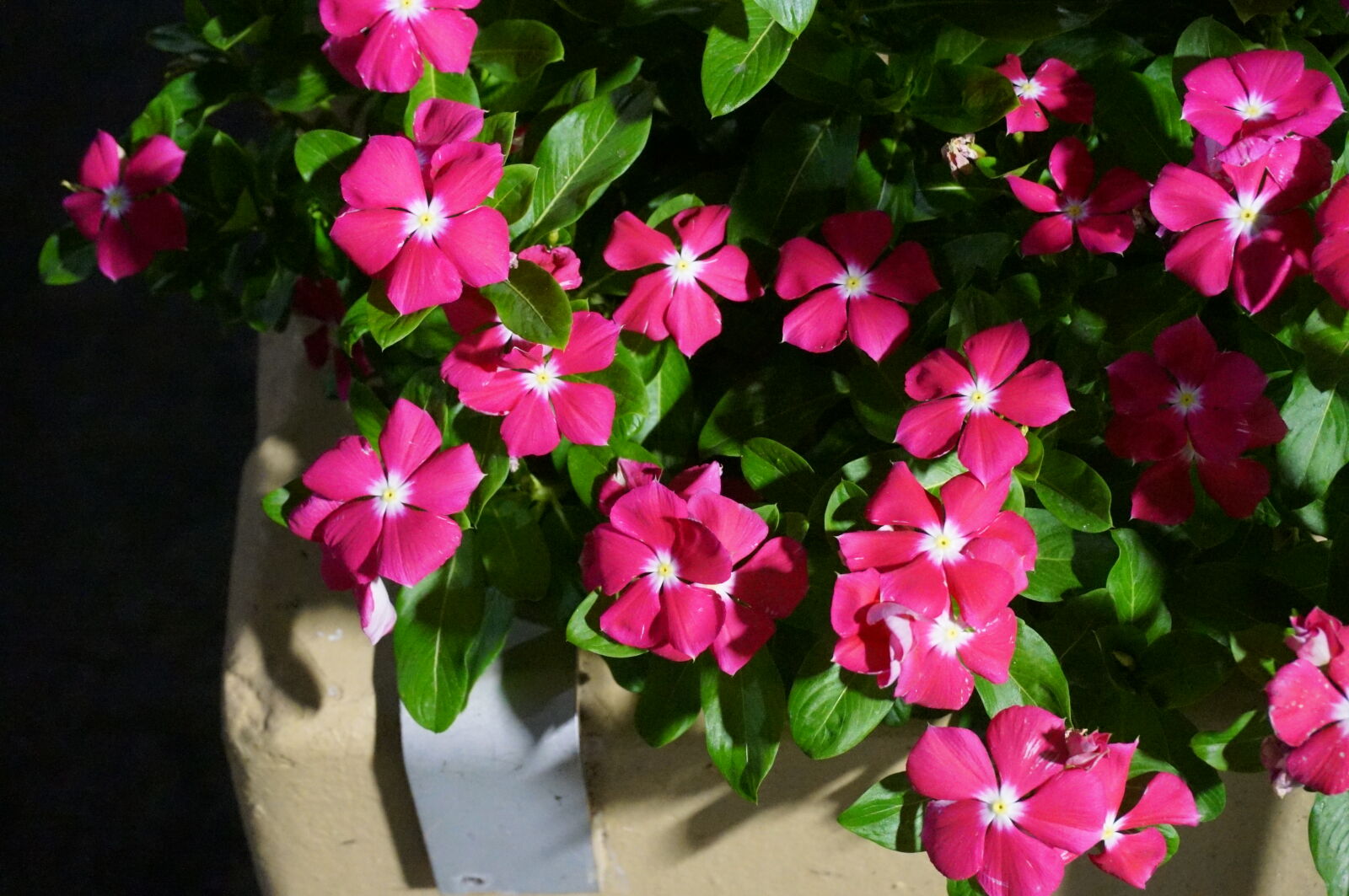 Sony Alpha NEX-5R sample photo
