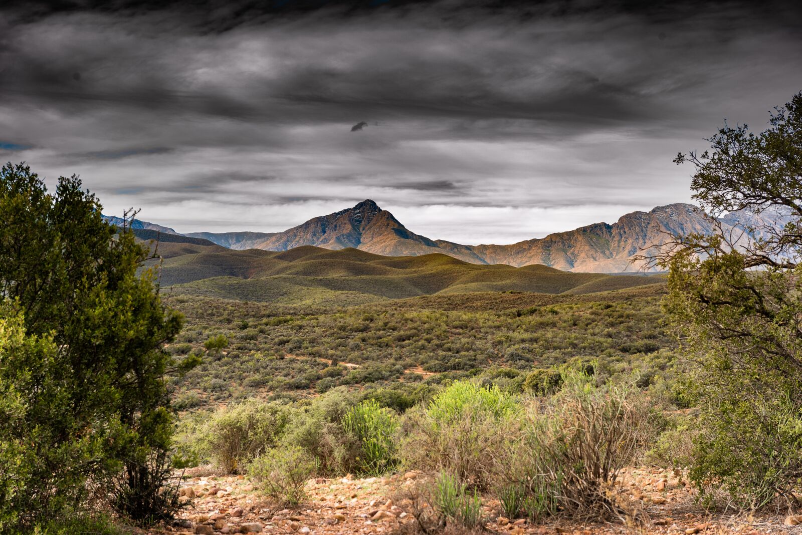 Nikon D750 sample photo. South africa, safari, scenic photography