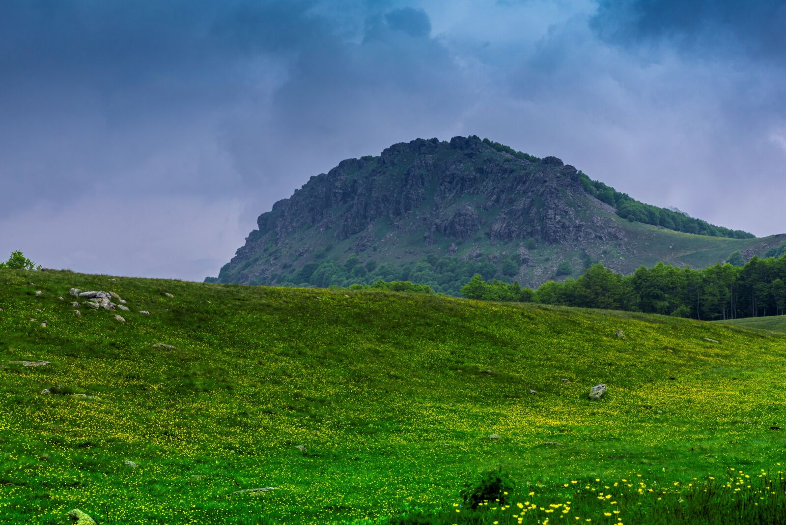 Tamron SP 24-70mm F2.8 Di VC USD sample photo. Green, mountain, rain photography