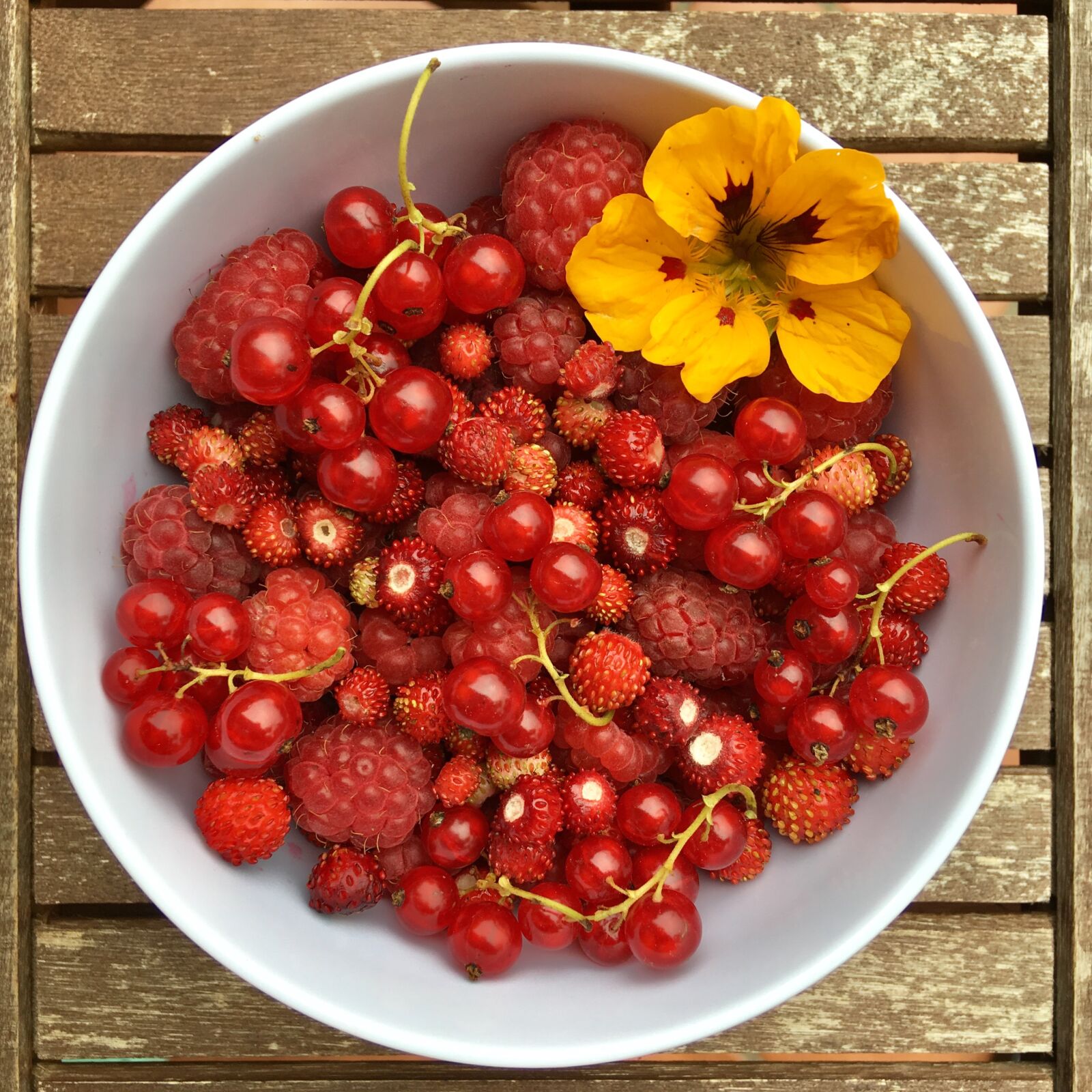 Apple iPhone SE sample photo. Berries, summer, fruit photography
