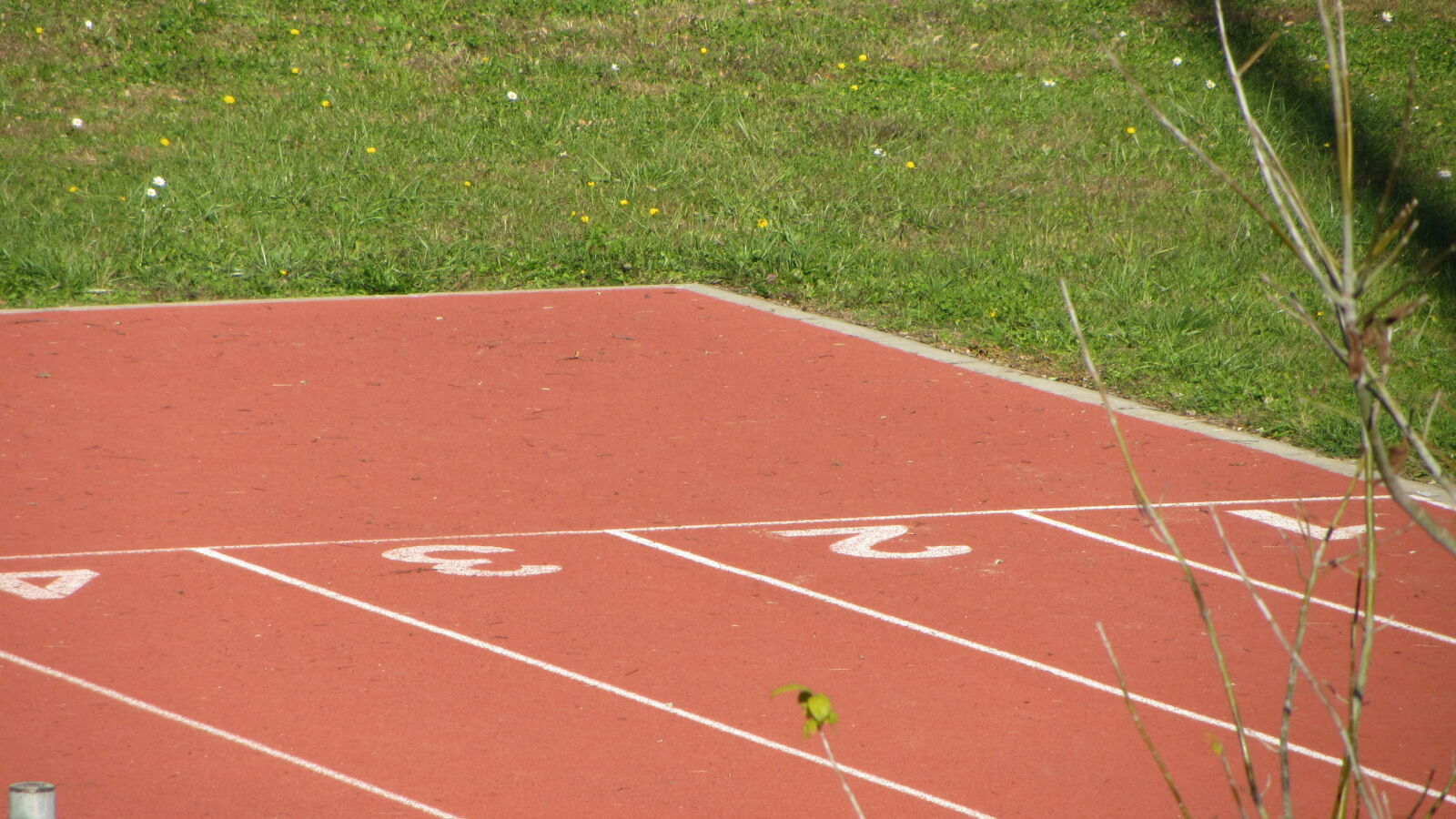 Canon PowerShot SX230 HS sample photo. Running, line, sport, track photography