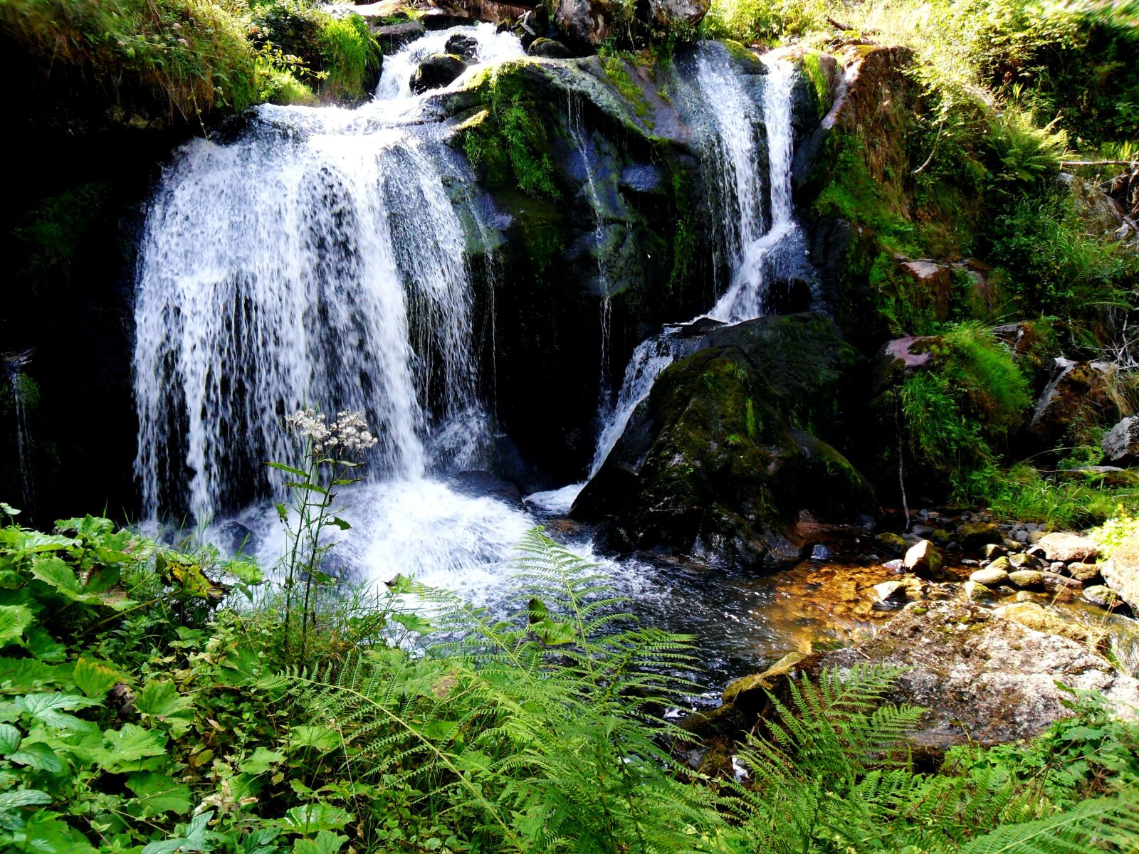 Samsung ES70, ES71 / VLUU ES70, ES71 /  SL600 sample photo. Trier, waterfall, summer photography