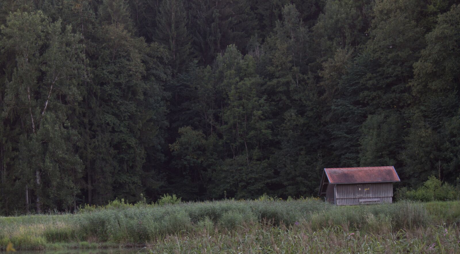 Canon EOS 700D (EOS Rebel T5i / EOS Kiss X7i) sample photo. Forest, hut, swamp photography