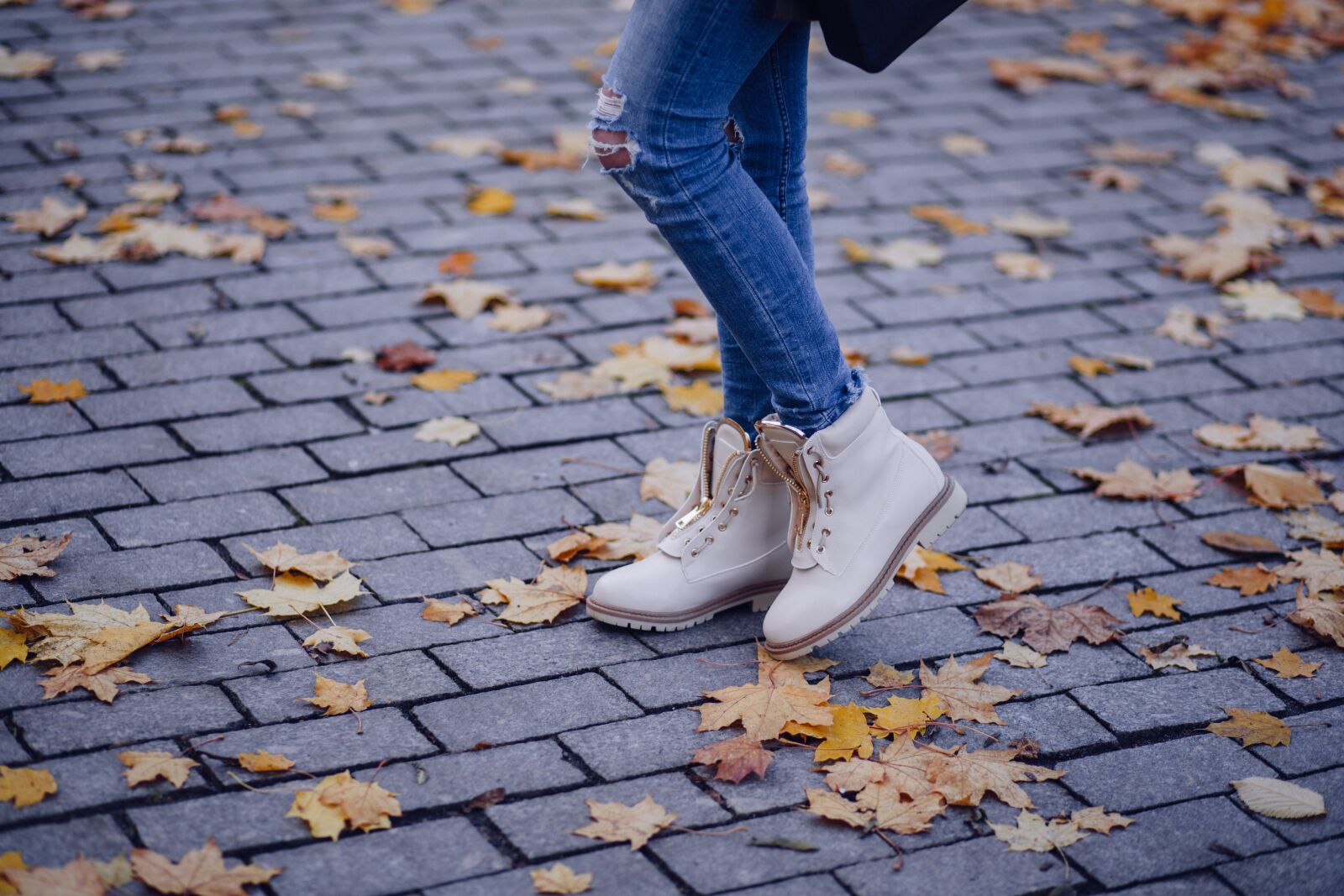 Canon EF 85mm F1.8 USM sample photo. Autumn leaves, brick, cement photography