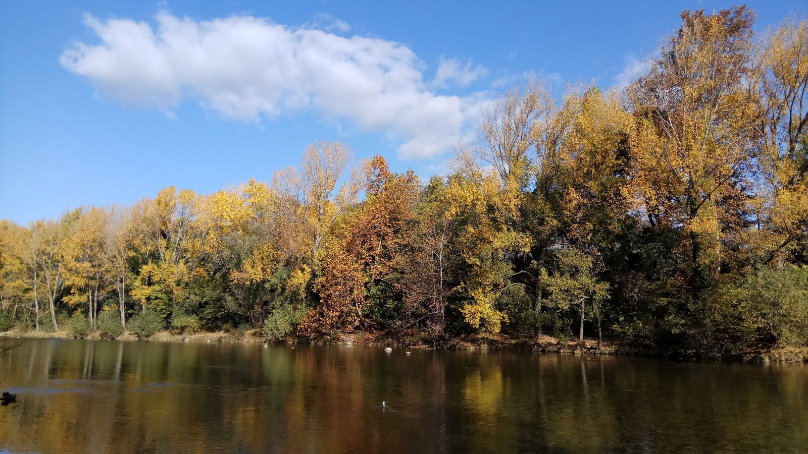 Xiaomi Redmi Pro sample photo. Landscape, river, trees photography