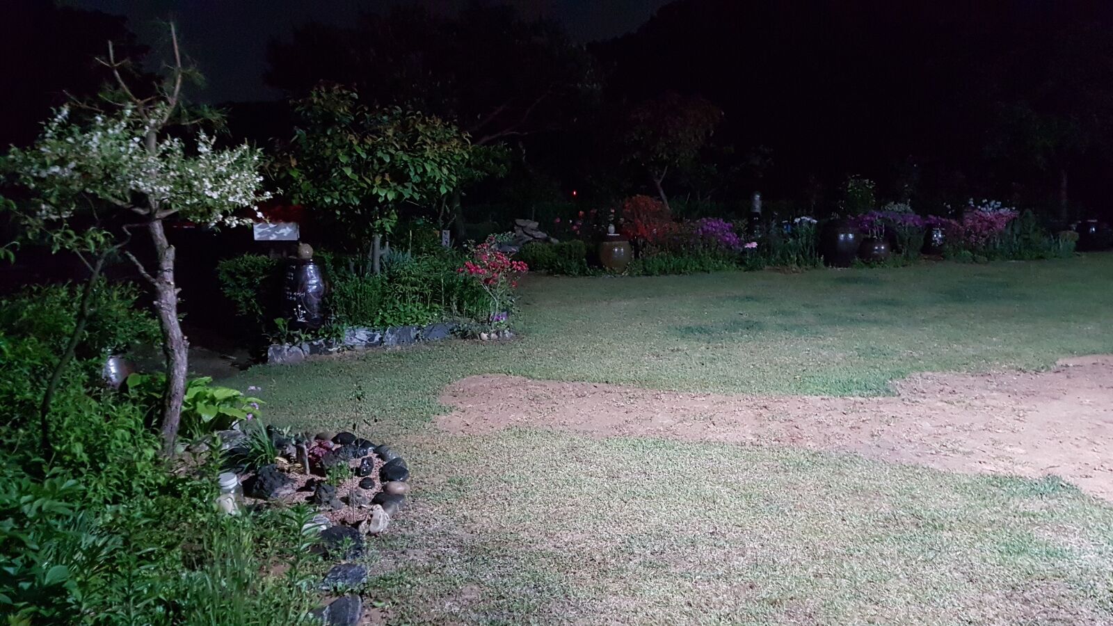 Samsung Galaxy S7 Edge sample photo. Garden, night, nature photography