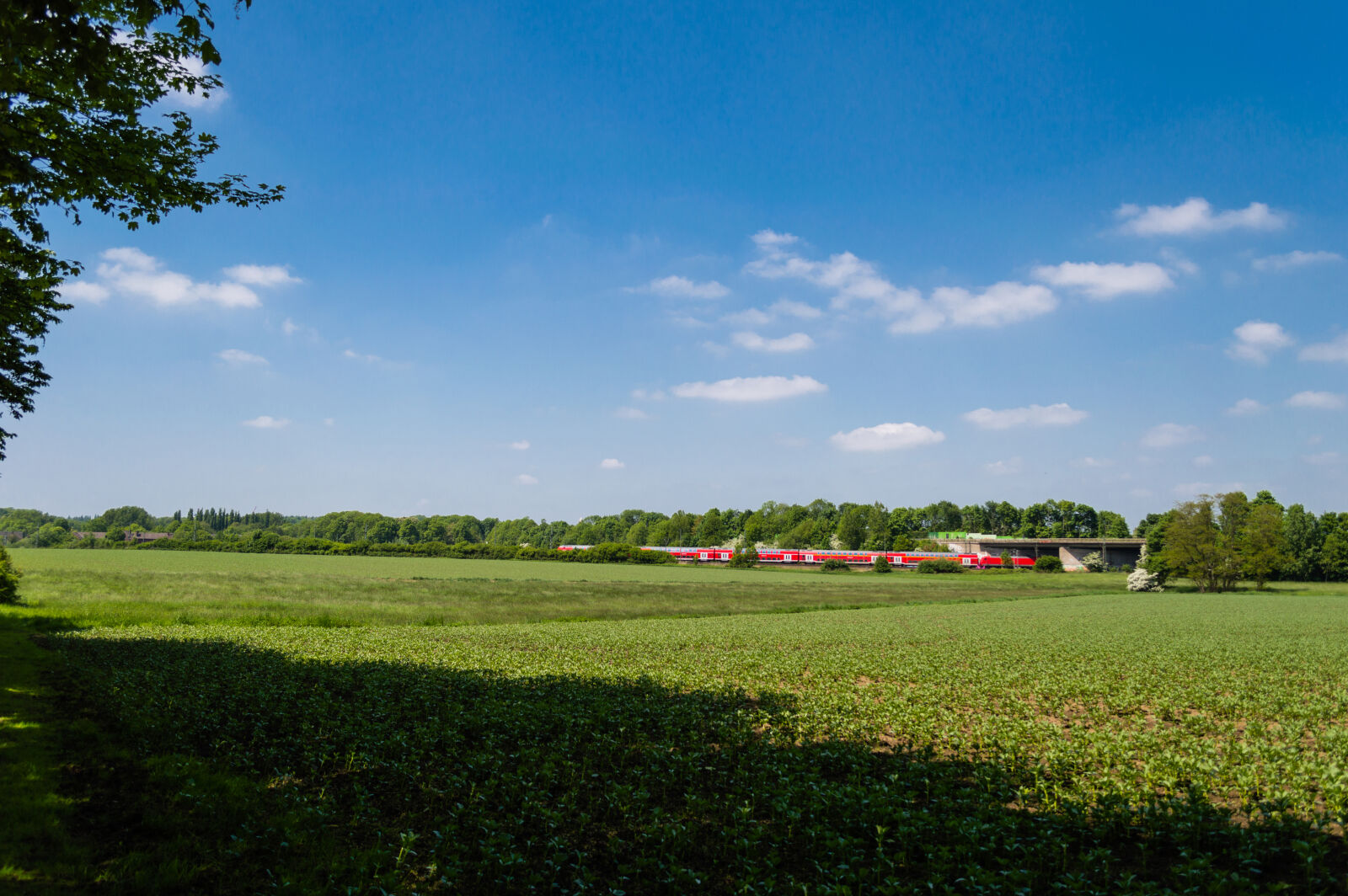 Nikon D3200 sample photo
