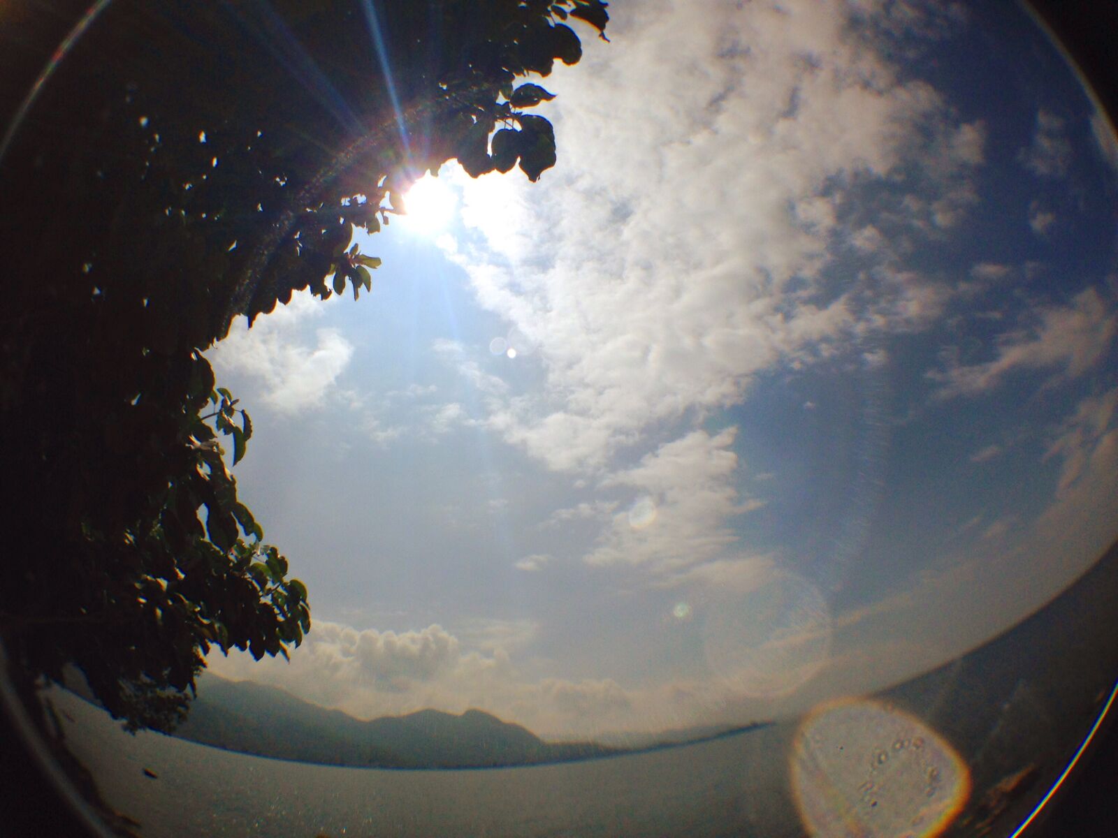 iPhone 5c back camera 4.12mm f/2.4 sample photo. Sun, and, sky photography