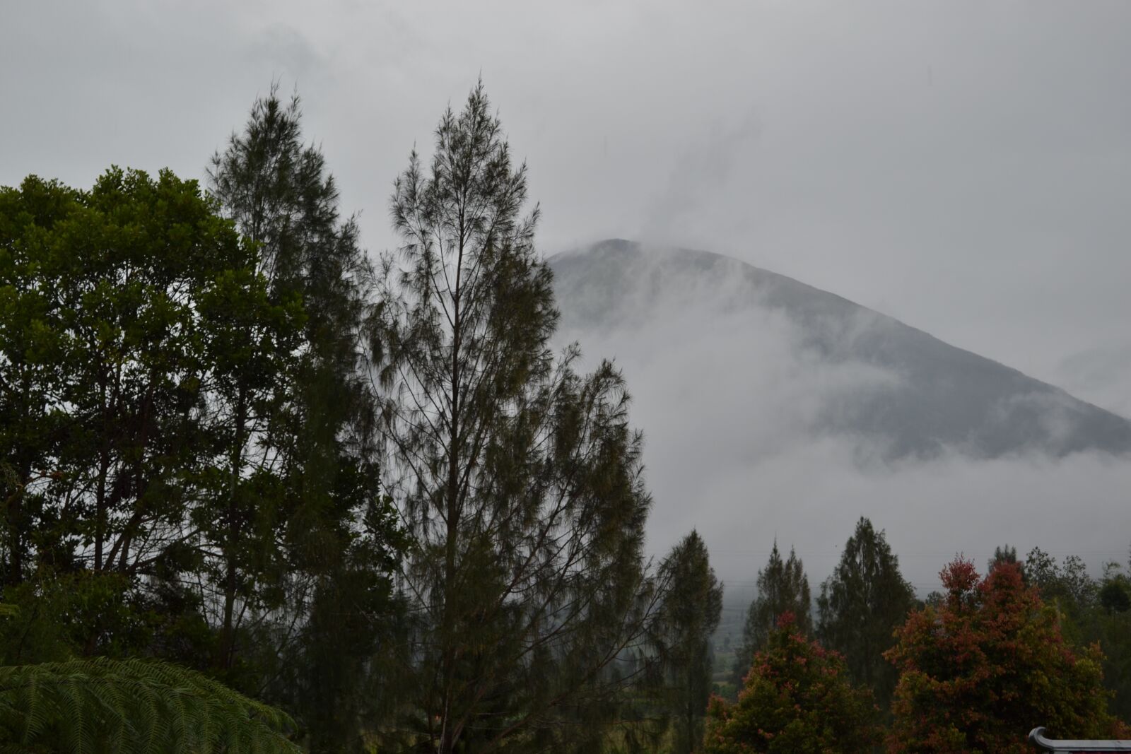 Nikon D3100 sample photo. Kledung, pass, temanggung photography