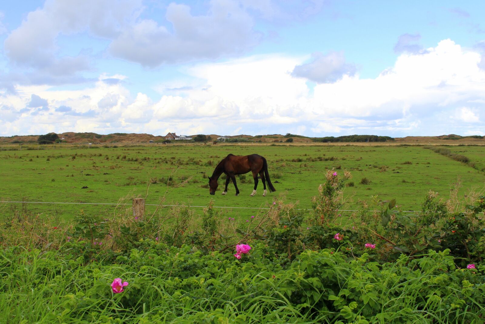 Canon EOS 700D (EOS Rebel T5i / EOS Kiss X7i) sample photo. Langeoog, island, east frisia photography