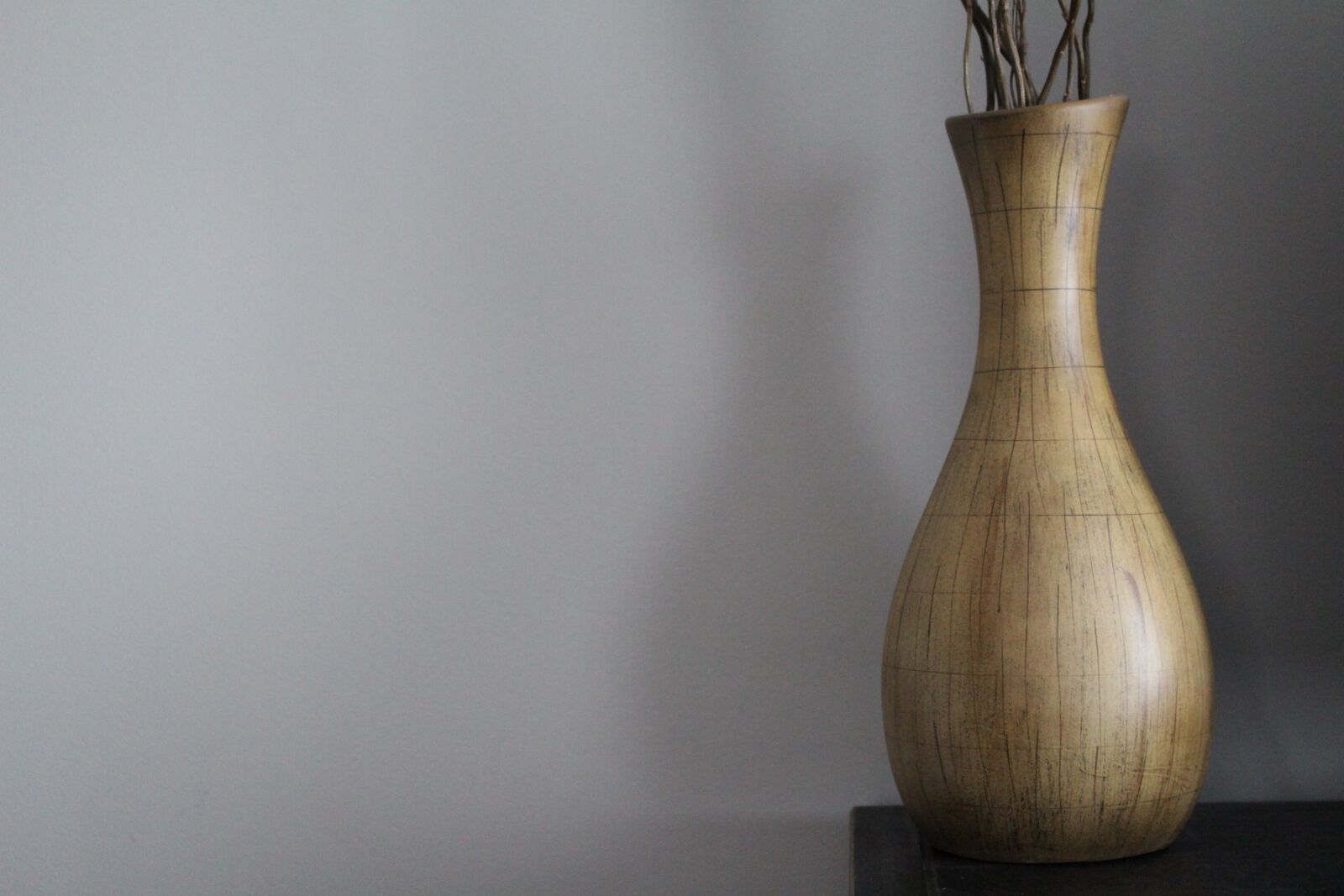 Canon EOS 100D (EOS Rebel SL1 / EOS Kiss X7) sample photo. Vase, decoration, house photography