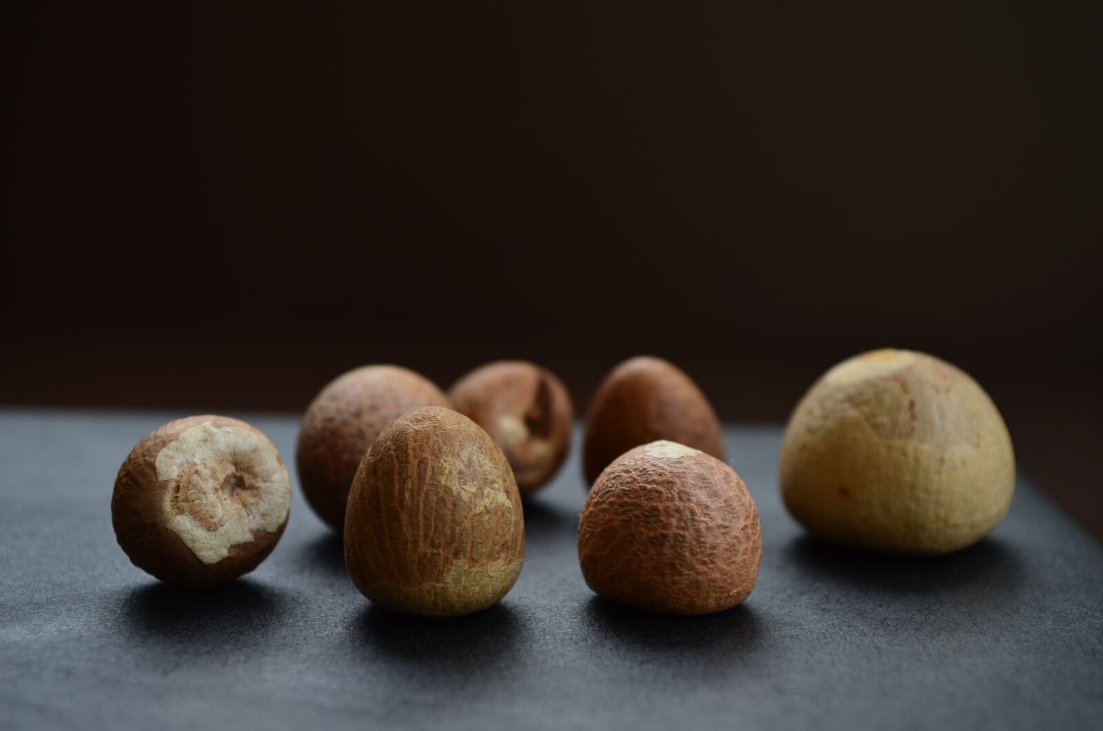 Nikon D5100 sample photo. Nut, betel nut, betel photography