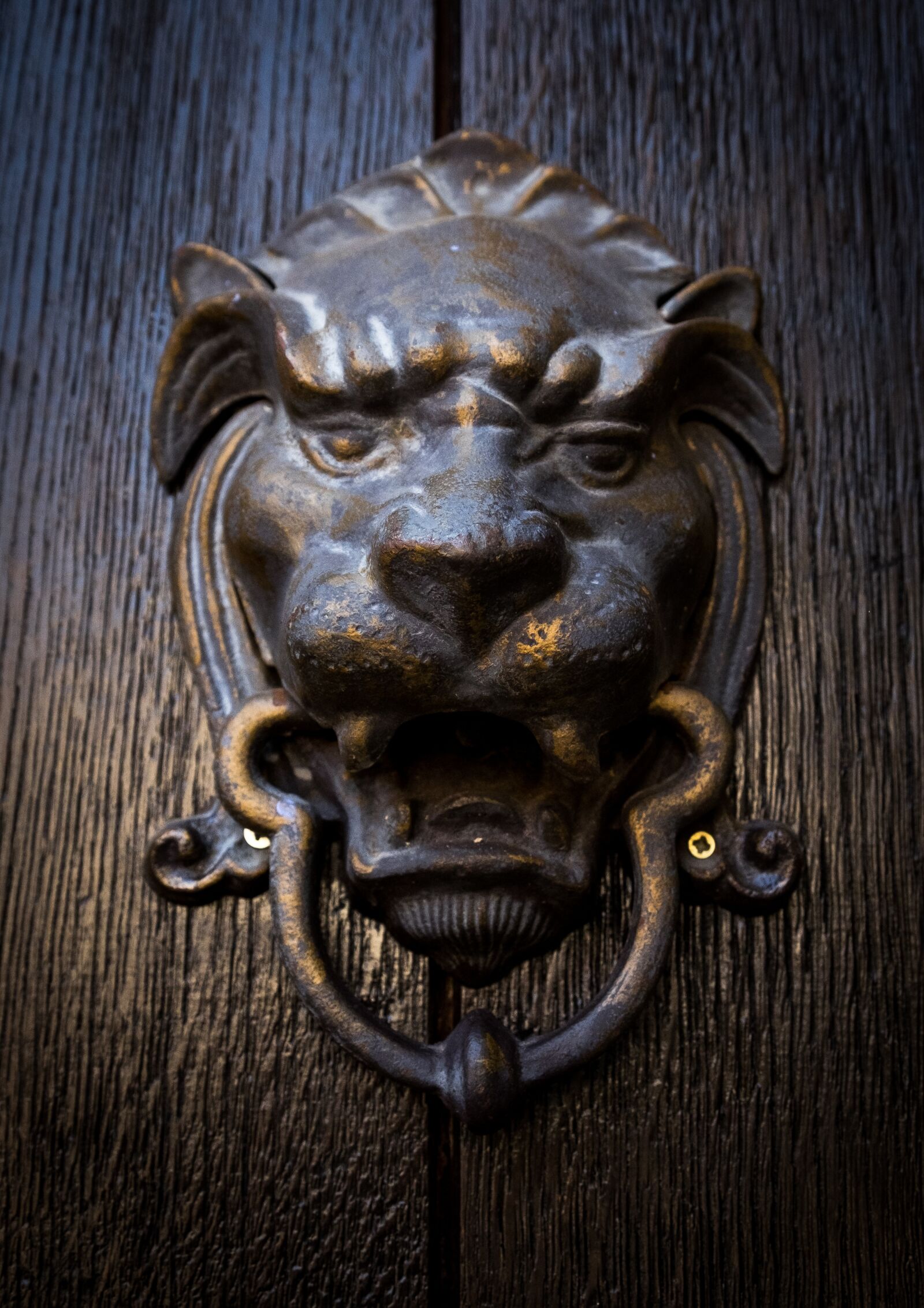 Fujifilm X-T1 sample photo. Door, lion, entry photography