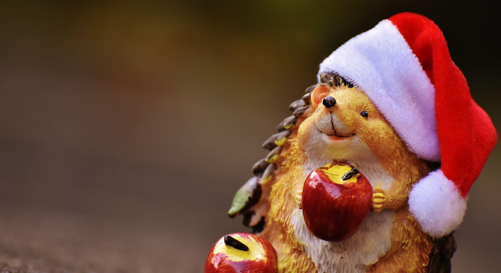 Nikon D7200 sample photo. Hedgehog, figure, christmas photography