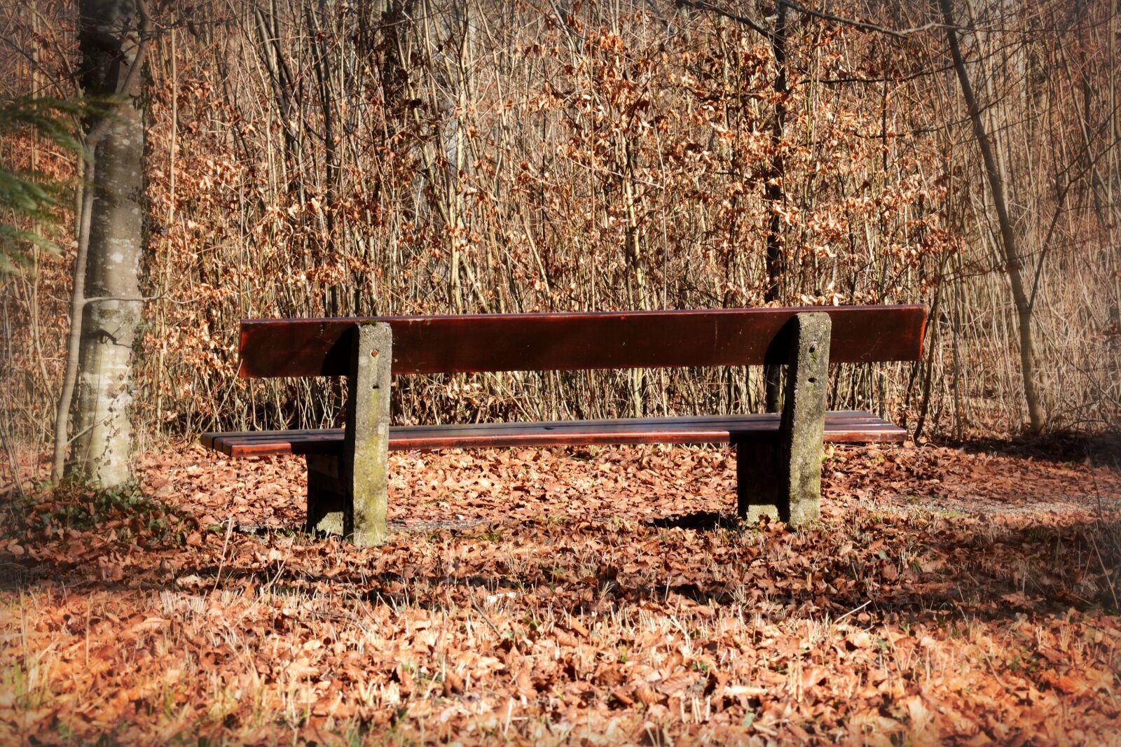 Nikon D7100 sample photo. Bench, bank, seat photography