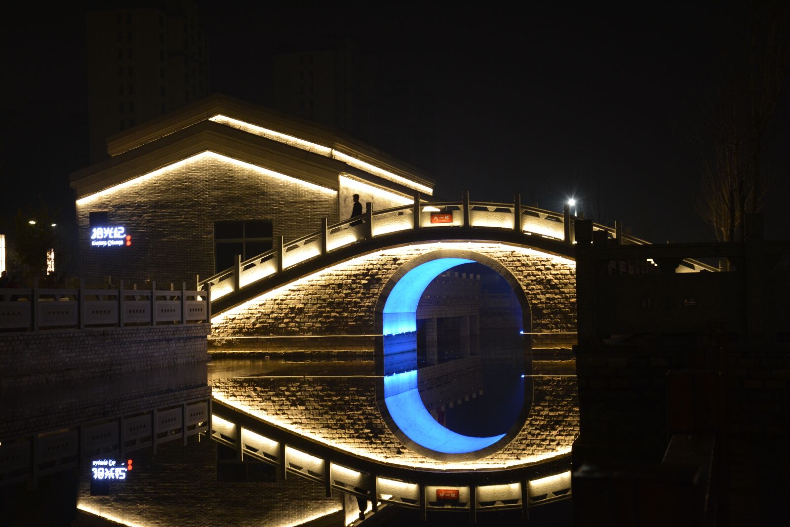 Nikon D5200 sample photo. Park night, night, bridge photography