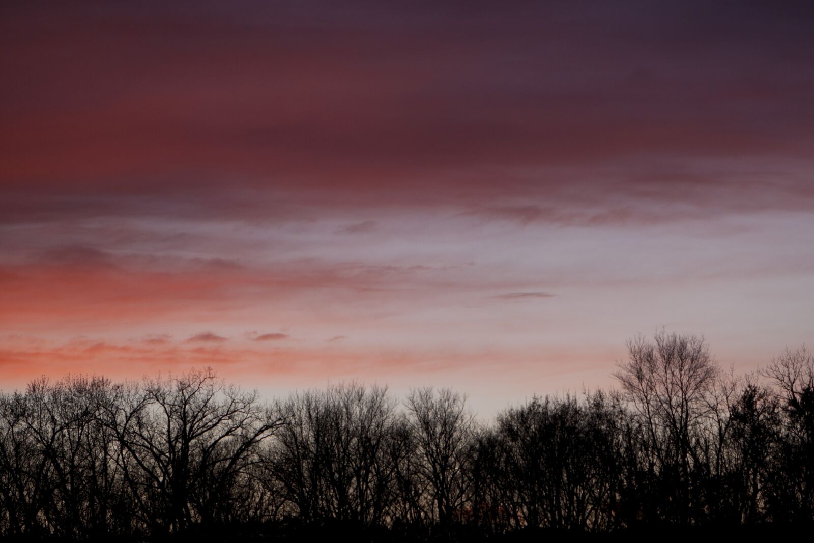 Nikon D5000 sample photo. Sunset, autumn, trees photography