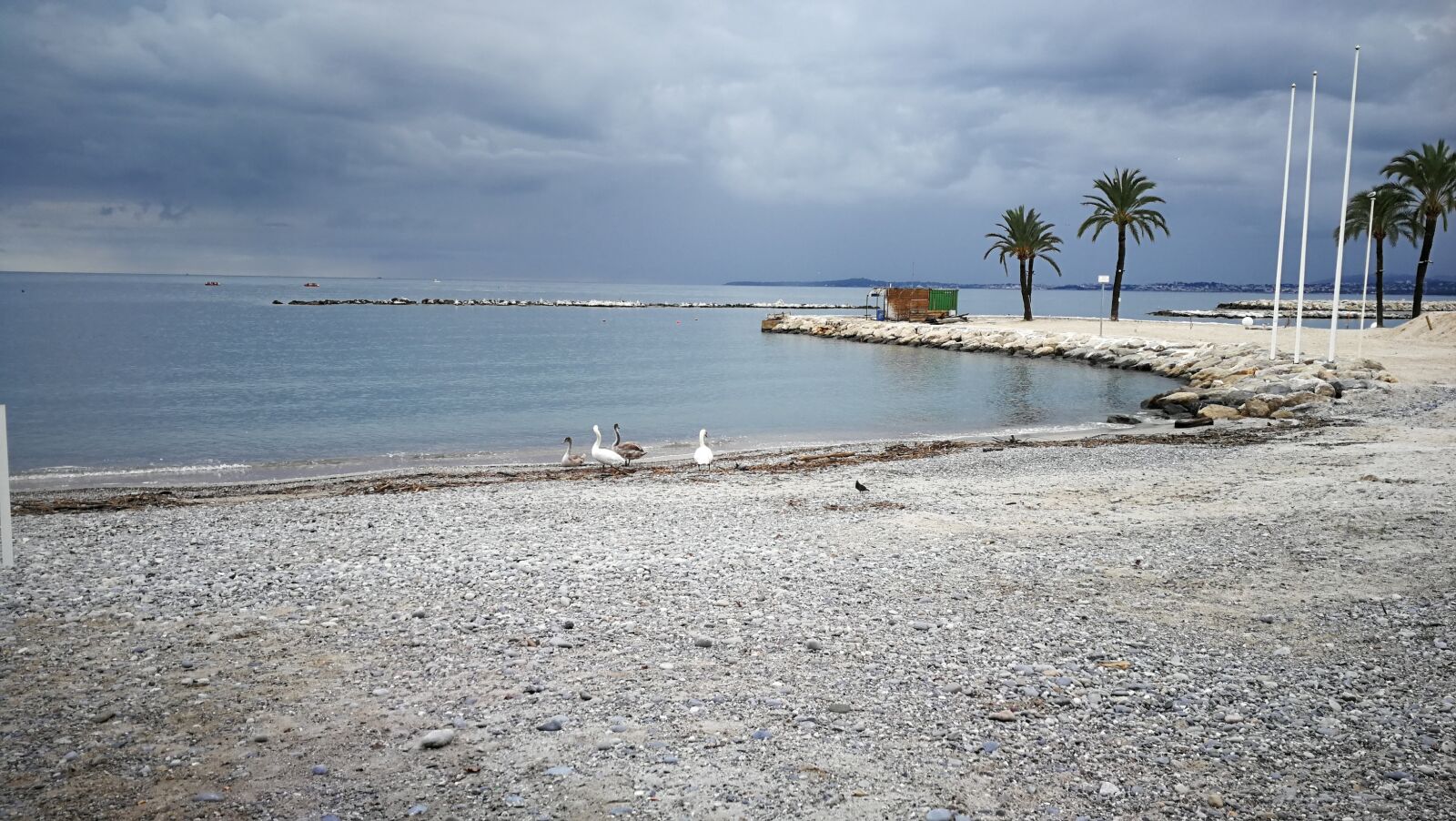 HUAWEI P10 sample photo. Nice, beach, palm photography