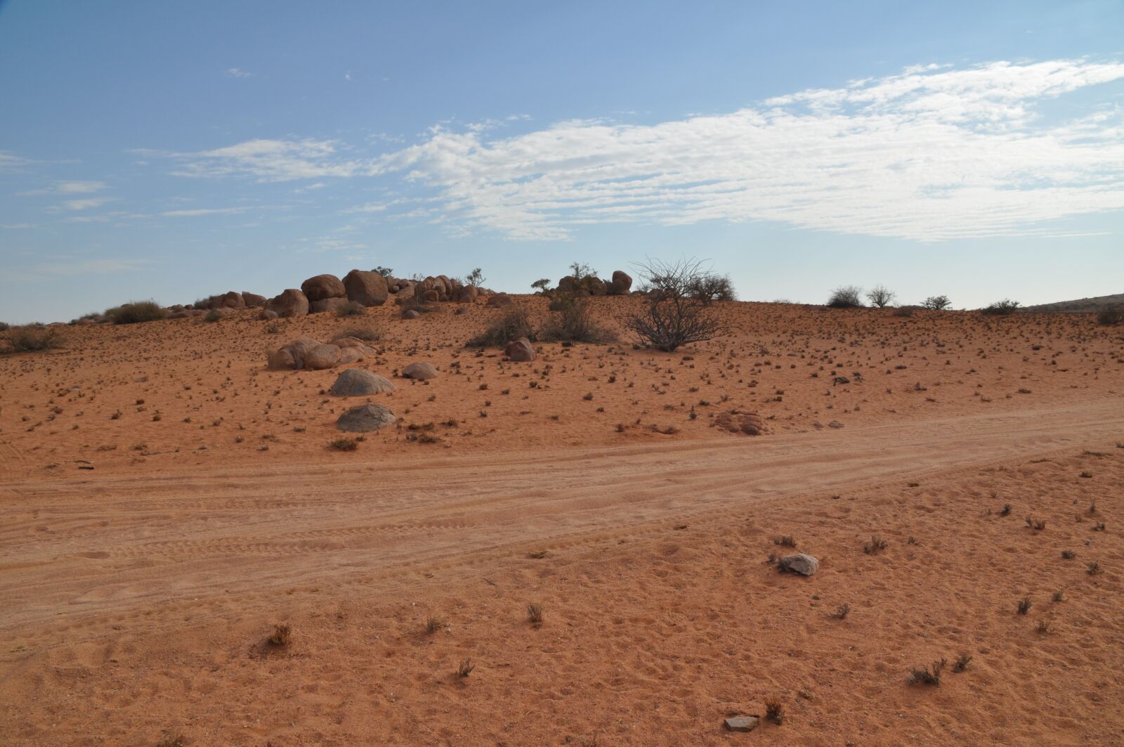 Nikon D5000 sample photo. Namibia, desert, travel photography
