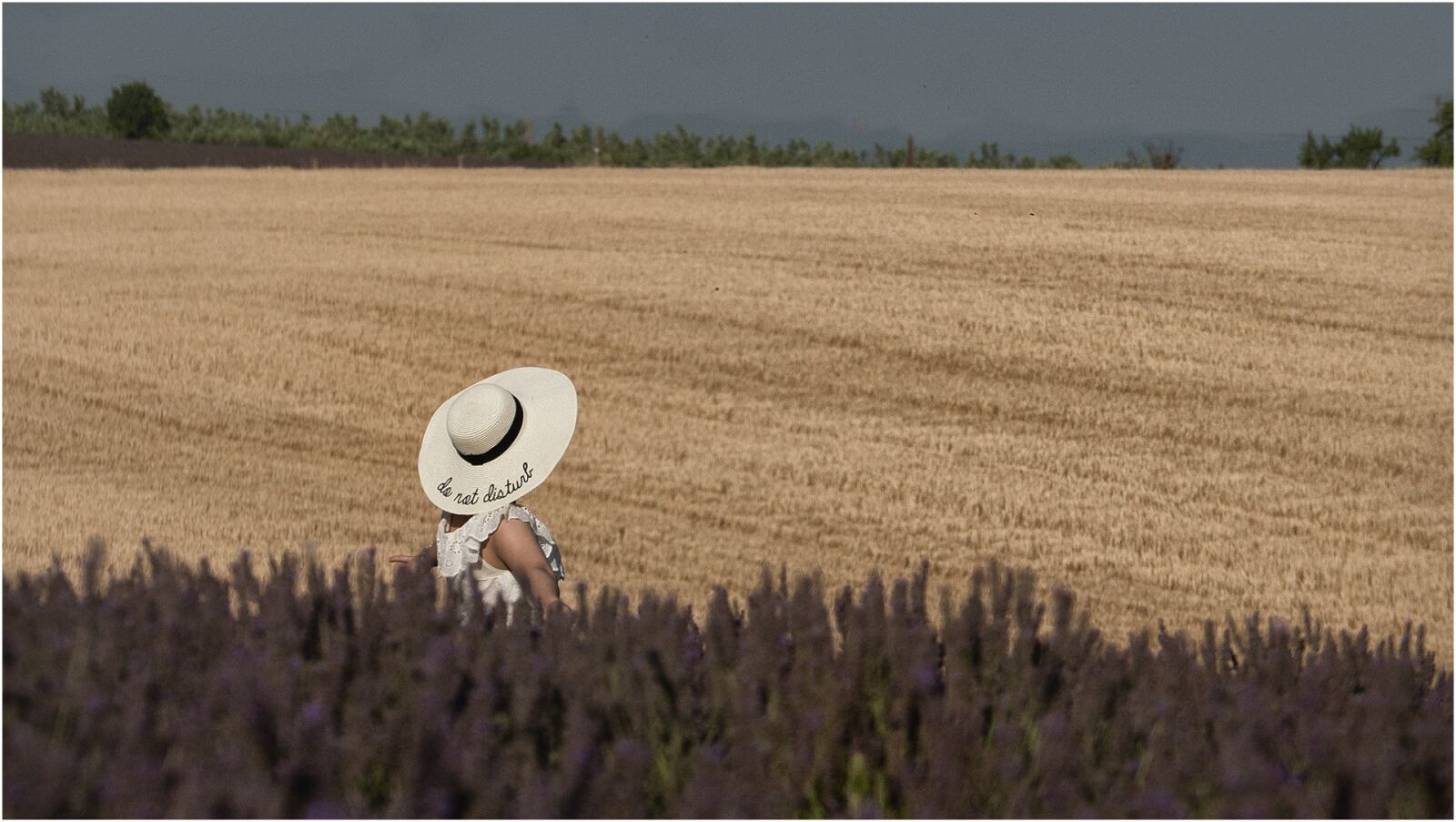 Panasonic Lumix DMC-GX8 sample photo. Nature, field, agro-industry photography