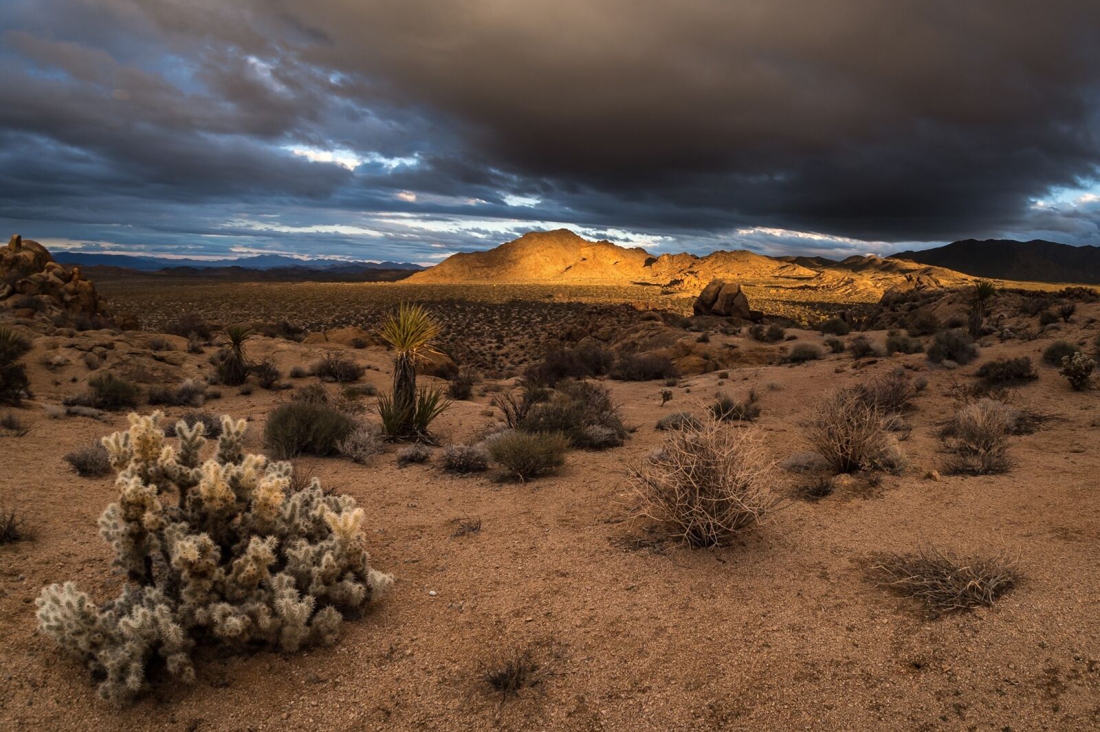 Nikon Df sample photo. Sunset, landscape, trees photography