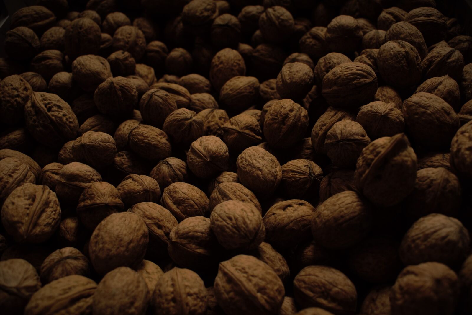 Nikon D3300 sample photo. Walnut, nuts, walnuts photography
