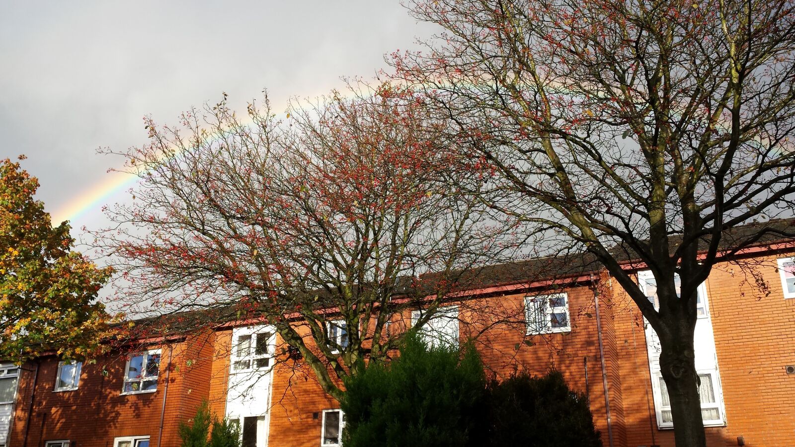 Samsung Galaxy S4 sample photo. Rainbow, sky, outdoor photography