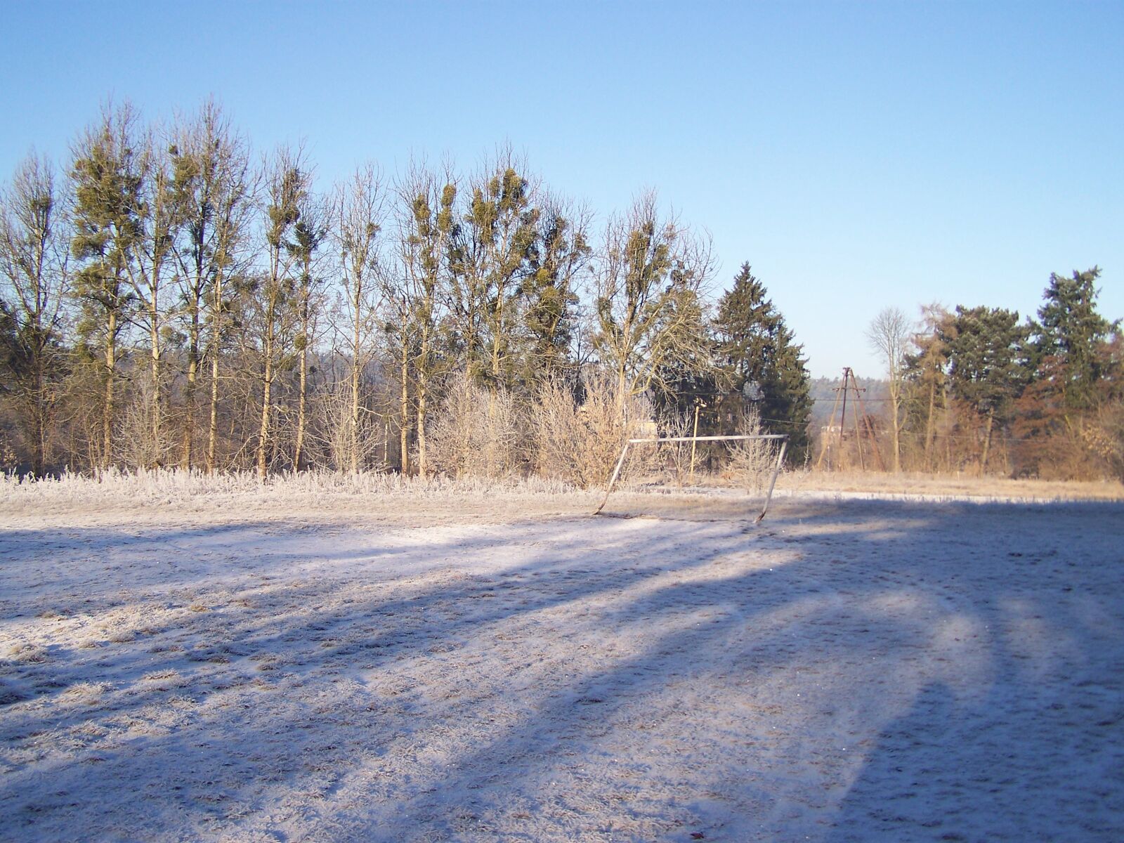 Kodak EASYSHARE ZD710 ZOOM DIGITAL CAMERA sample photo. Winter, snow, forest photography