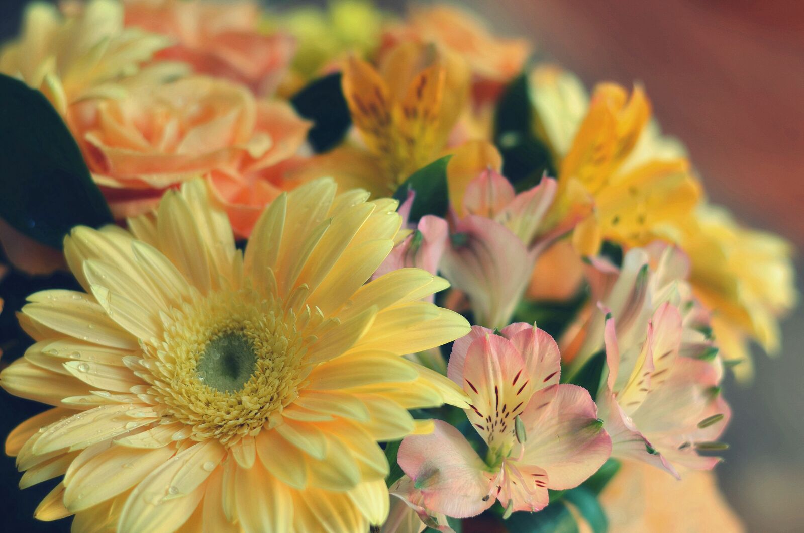 Nikon D5100 sample photo. Bouquet, flower, bloom photography