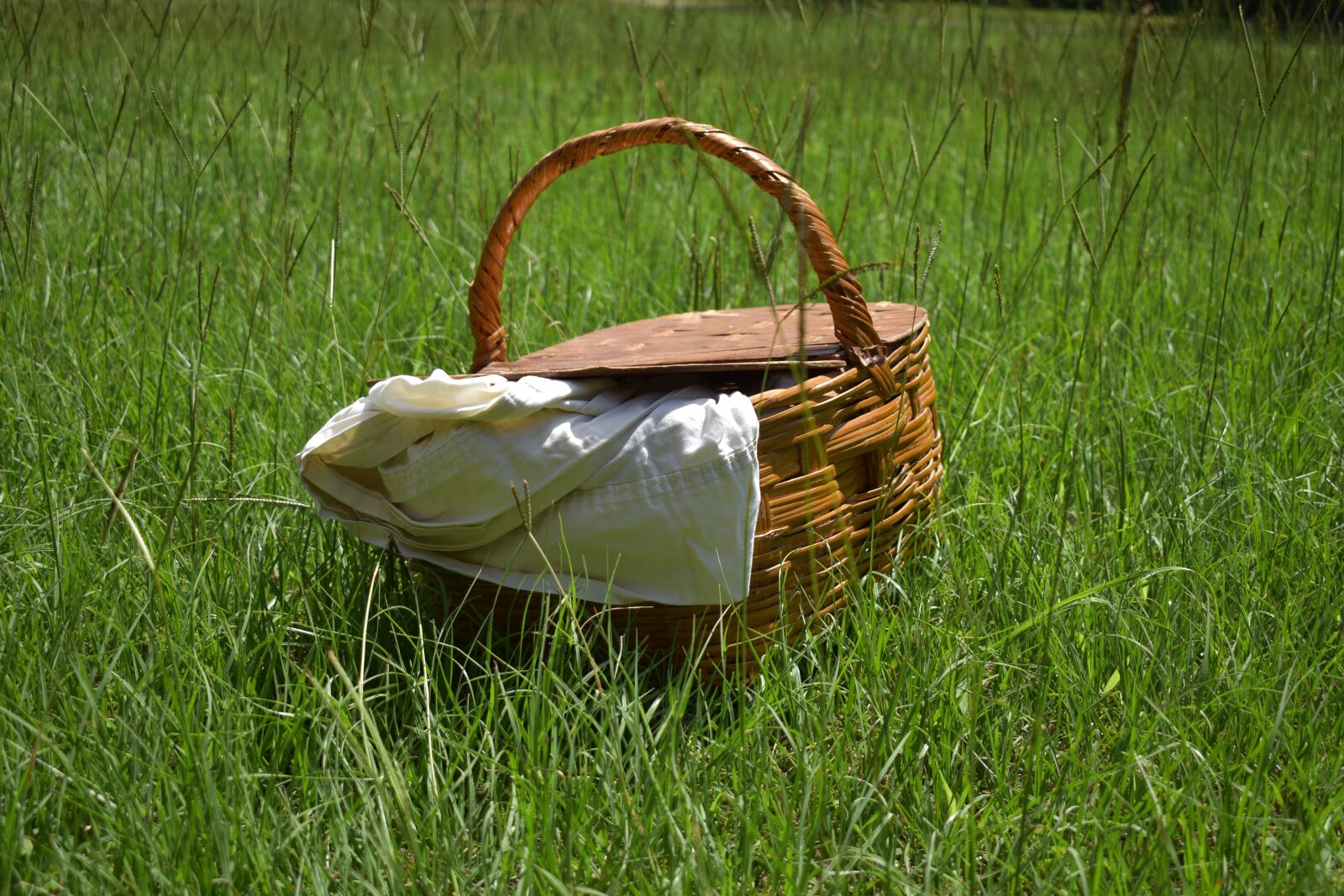 Nikon D3500 sample photo. Picnic, basket, summer photography