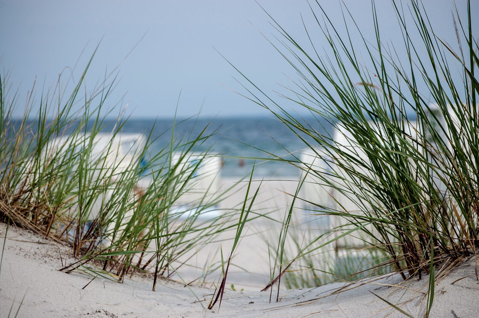 Nikon D40 sample photo. Beach, dune, dunes photography