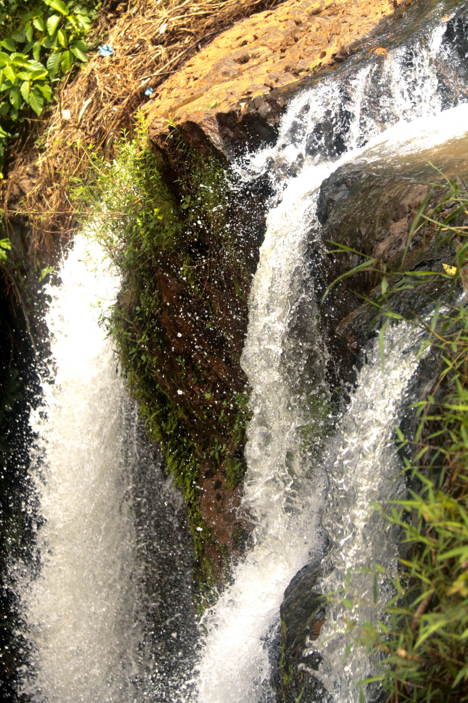 Canon EF-S 18-200mm F3.5-5.6 IS sample photo. Forest, nature, waterfall photography