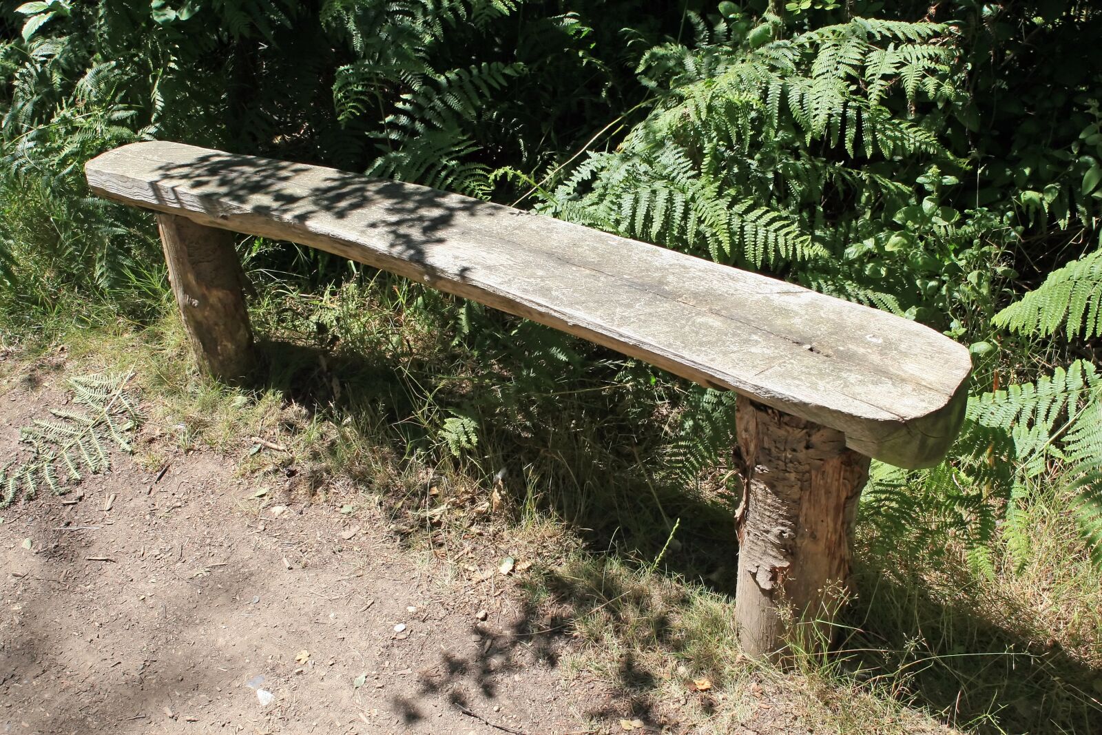 Canon EOS 30D sample photo. Area, bench, forest photography