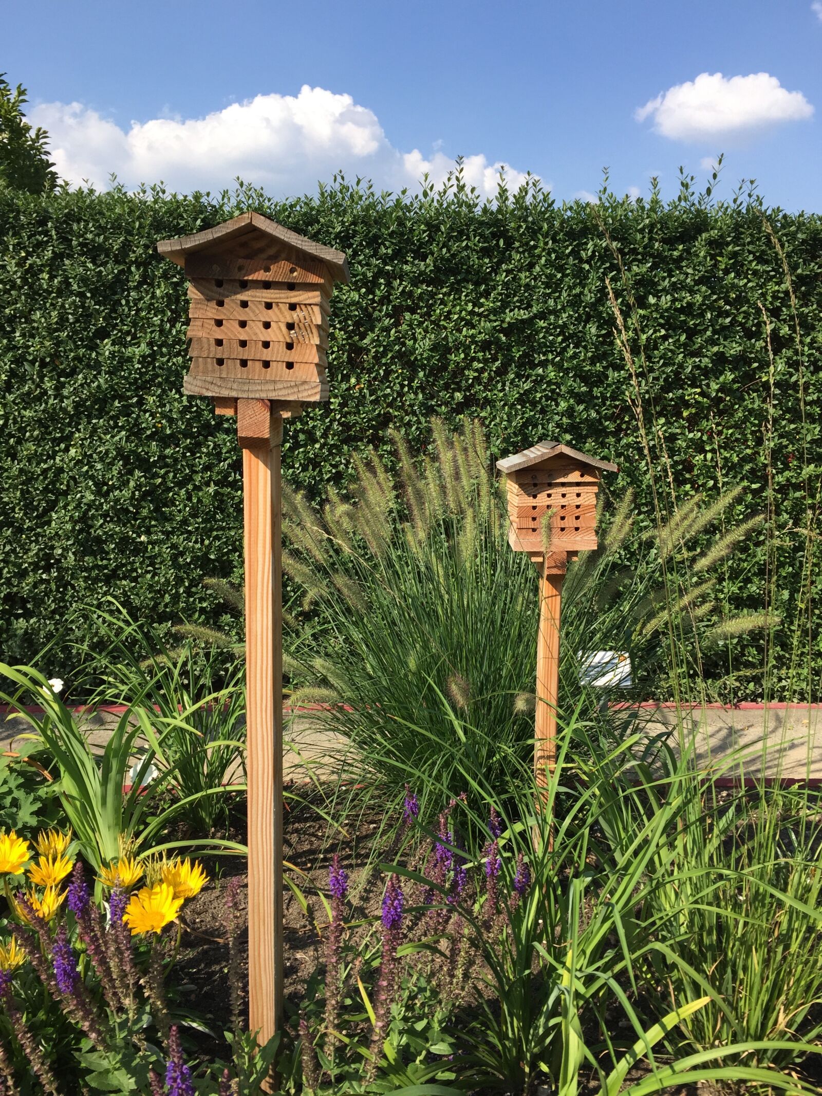 iPhone 6 Plus back camera 4.15mm f/2.2 sample photo. Insects hotel, nature photography
