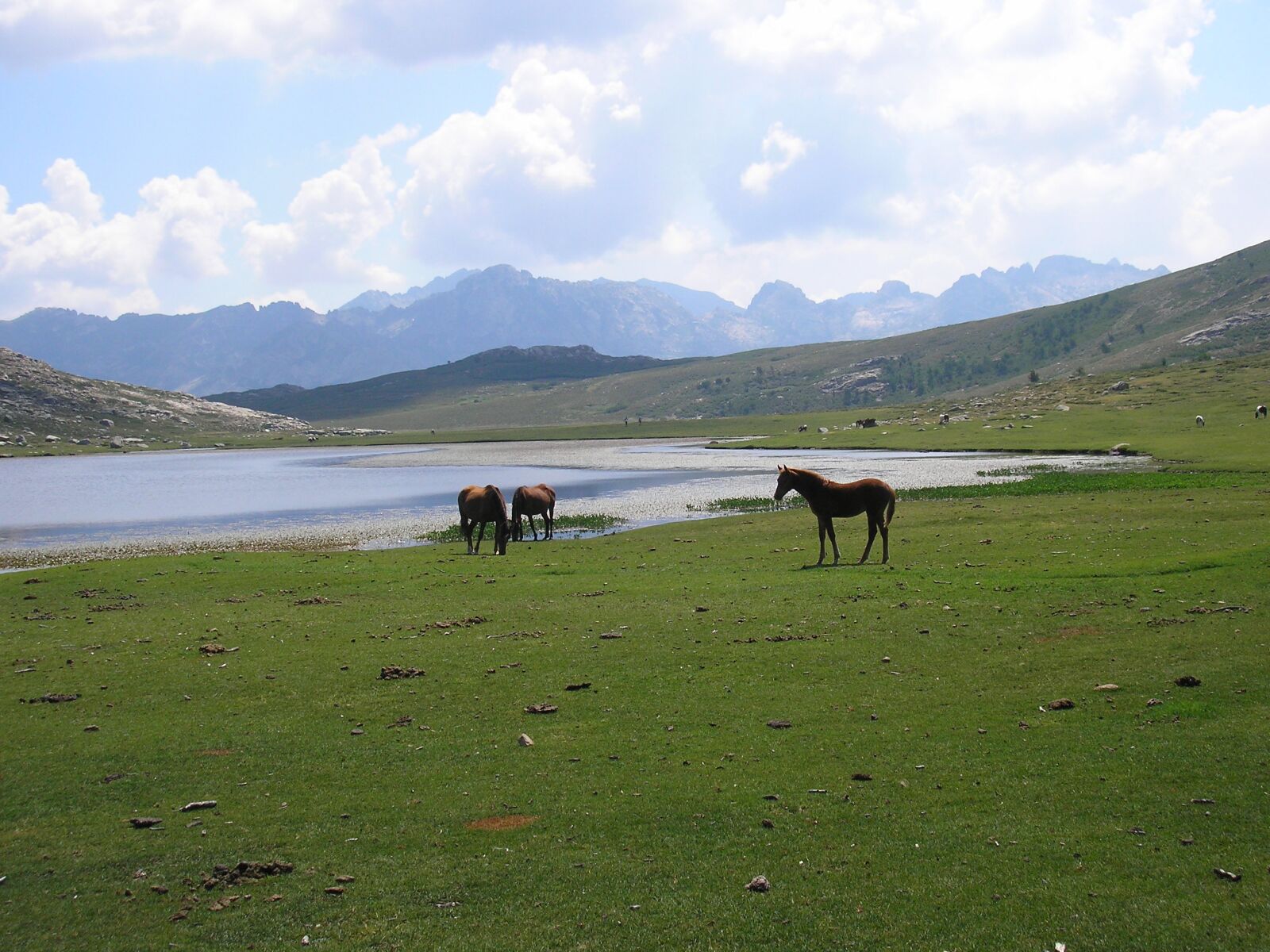 Olympus FE-120,X-700 sample photo. Lake, corsican, mountain photography