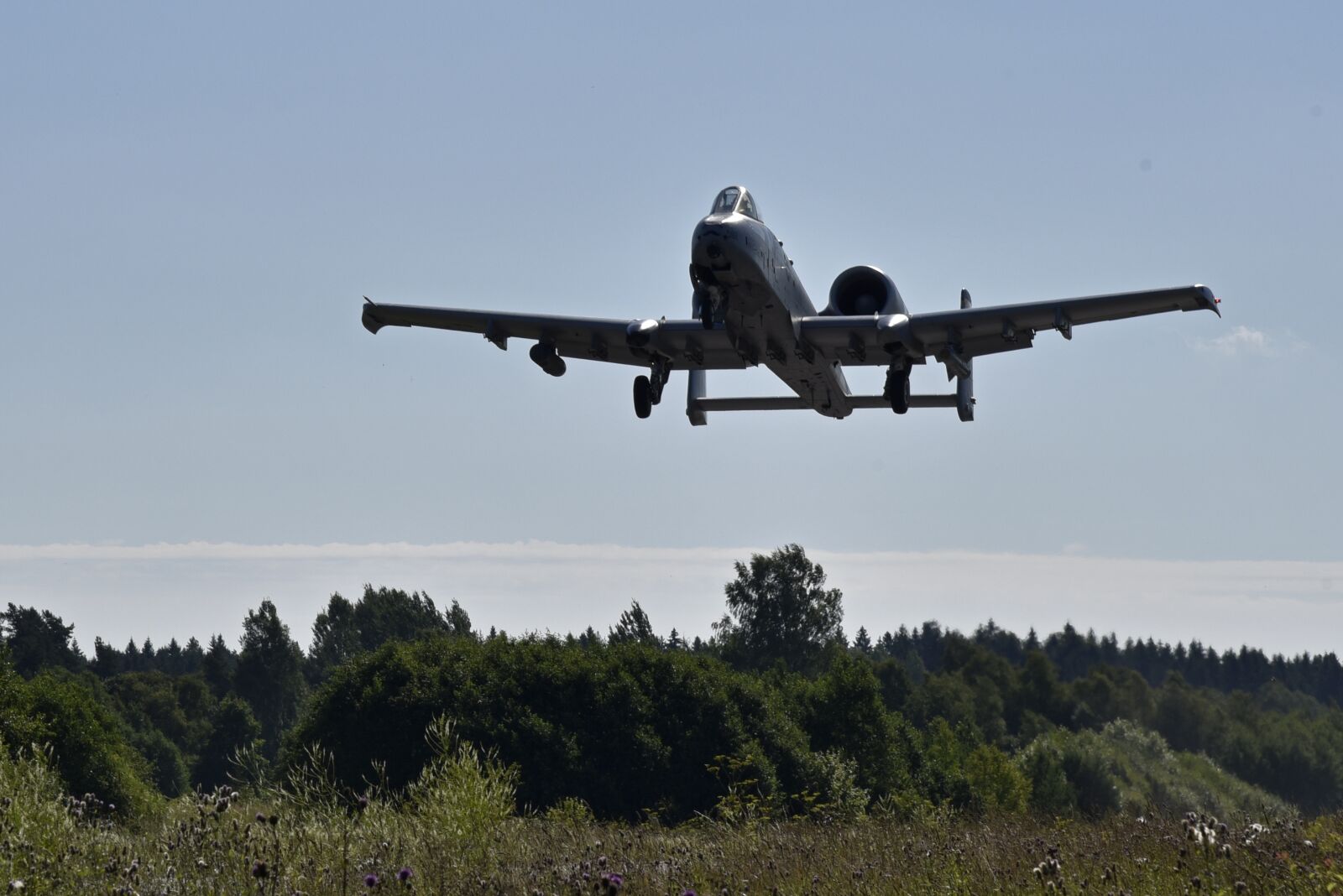 Nikon D750 sample photo. A-10c thunderbolt ii, aircraft photography