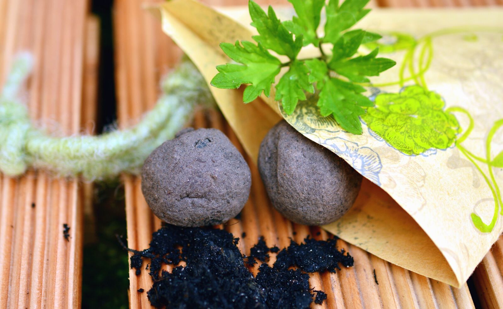 Nikon D5200 sample photo. Plant, food, spices, paper photography