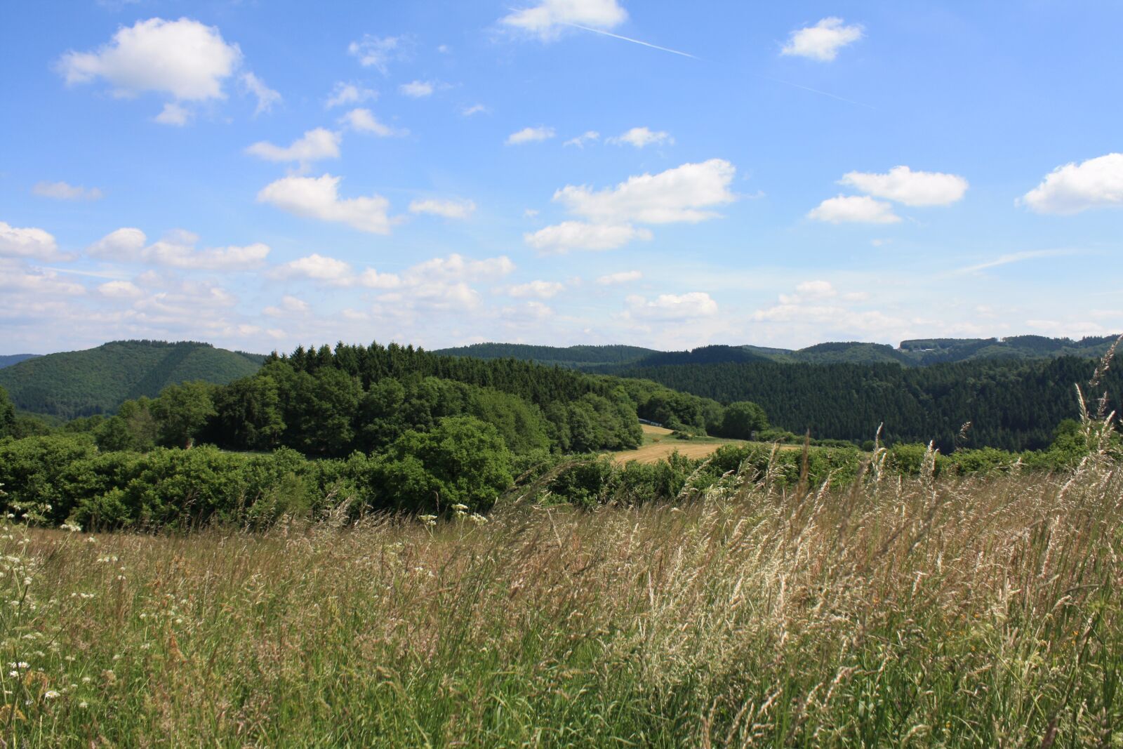 Canon EOS 1000D (EOS Digital Rebel XS / EOS Kiss F) sample photo. Summer, landscape, nature photography